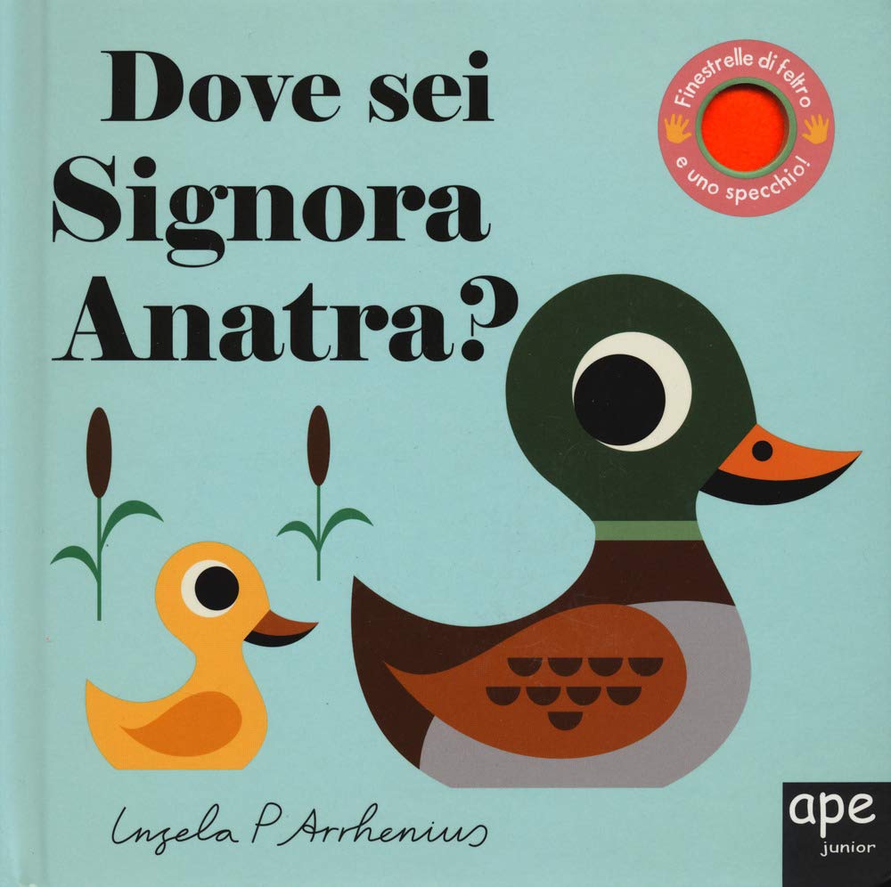 Dove sei Signora Anatra? Ediz. a colori book