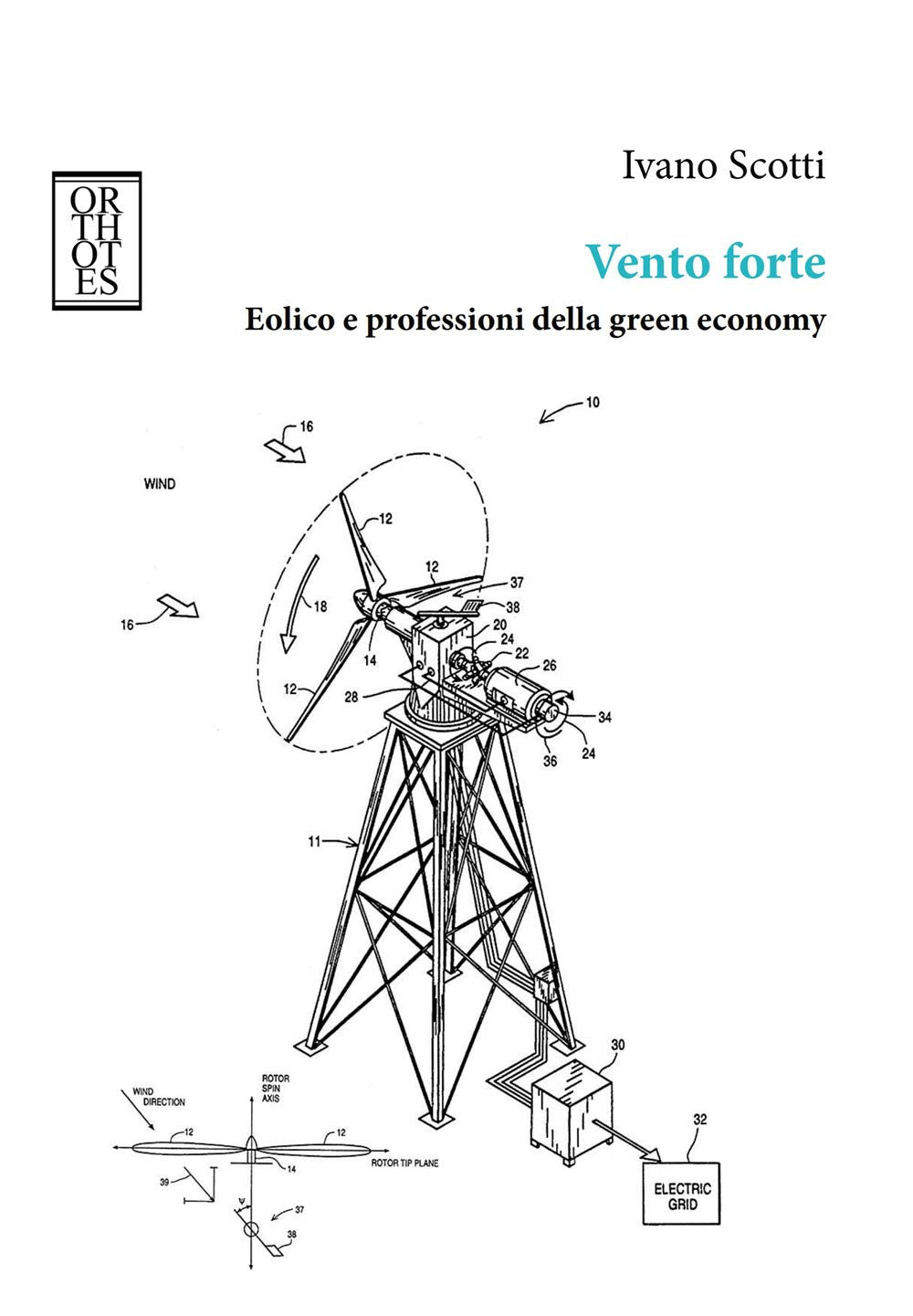 Vento forte. Eolico e professioni della green economy (Ecologia politica) Business, Finance & Career
