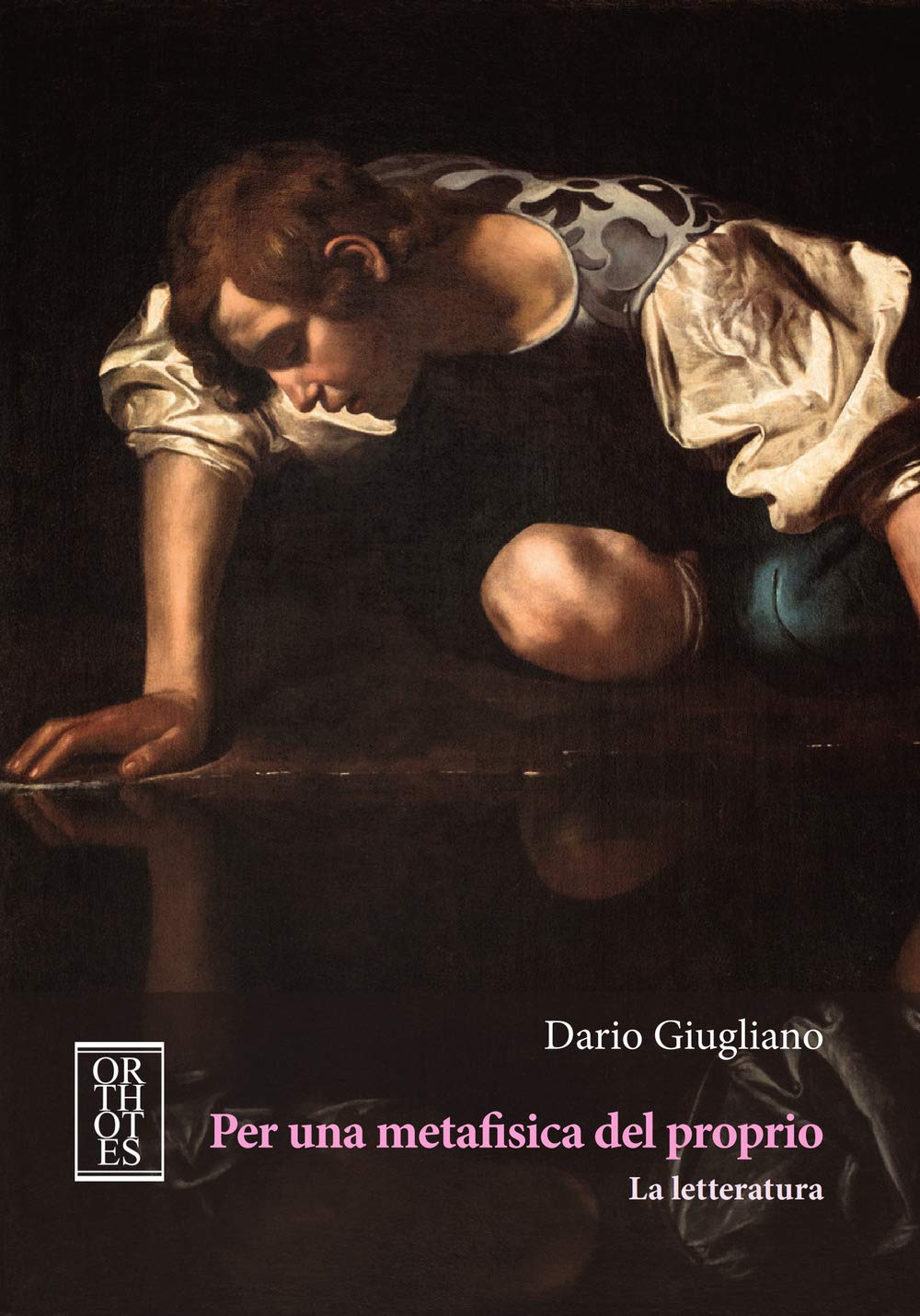 Per una metafisica del proprio. La letteratura book