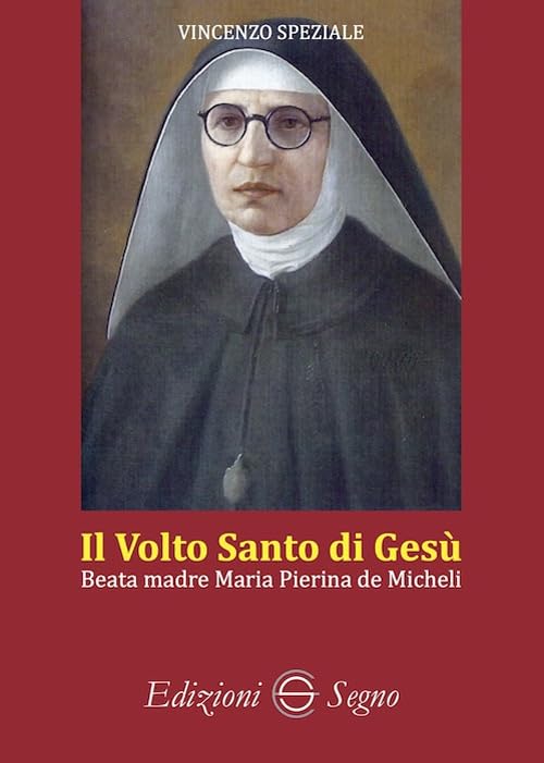 Il volto santo di Gesù. Beata madre Maria Pierina de Micheli book