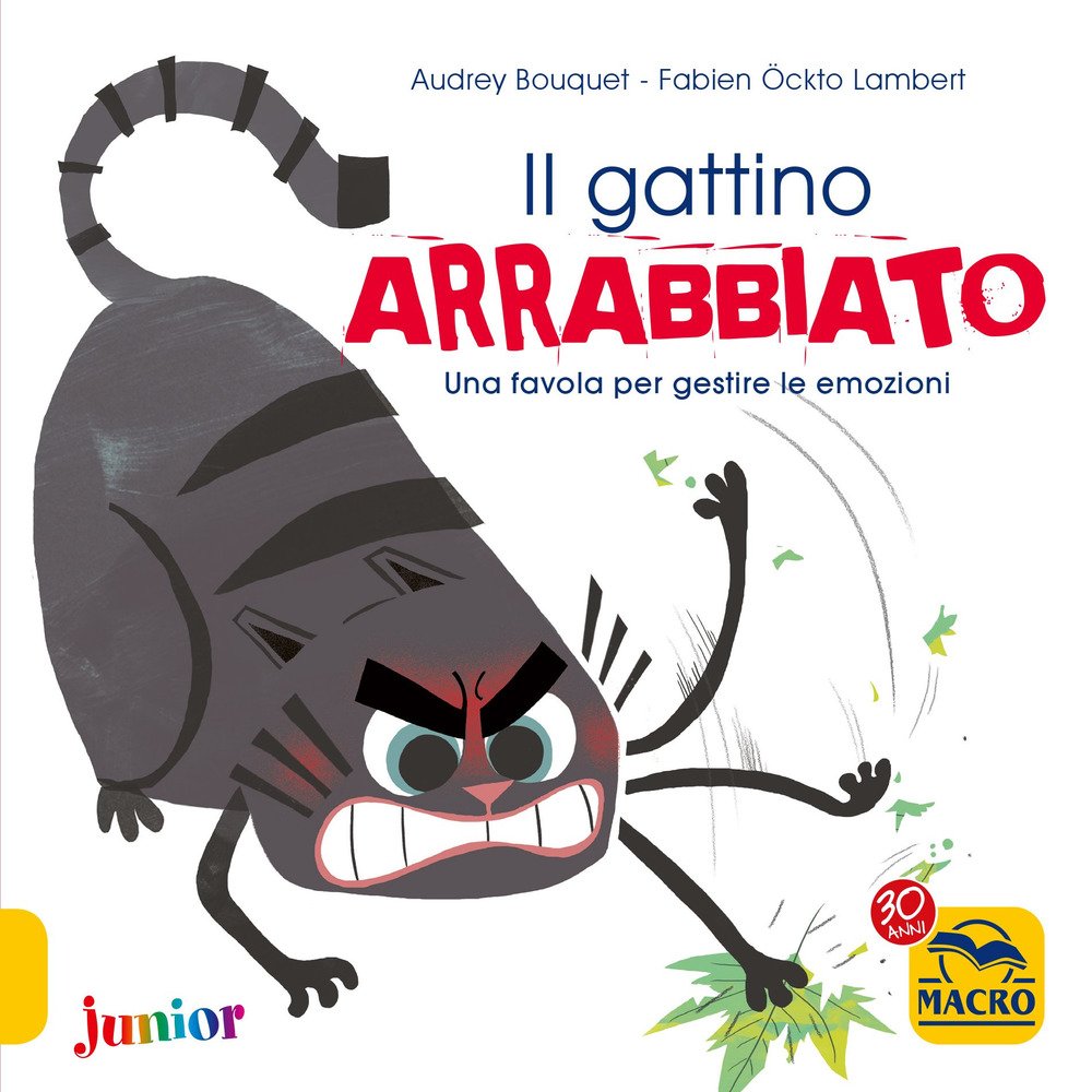 Il gattino arrabbiato. Una favola per gestire le emozioni. Ediz. a colori book