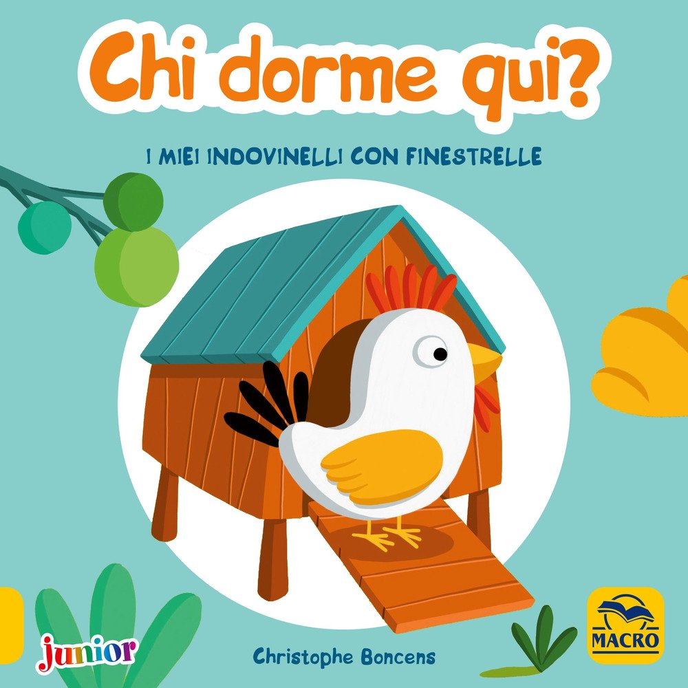 Chi dorme qui! I miei indovinelli con finestrelle. Ediz. a colori book