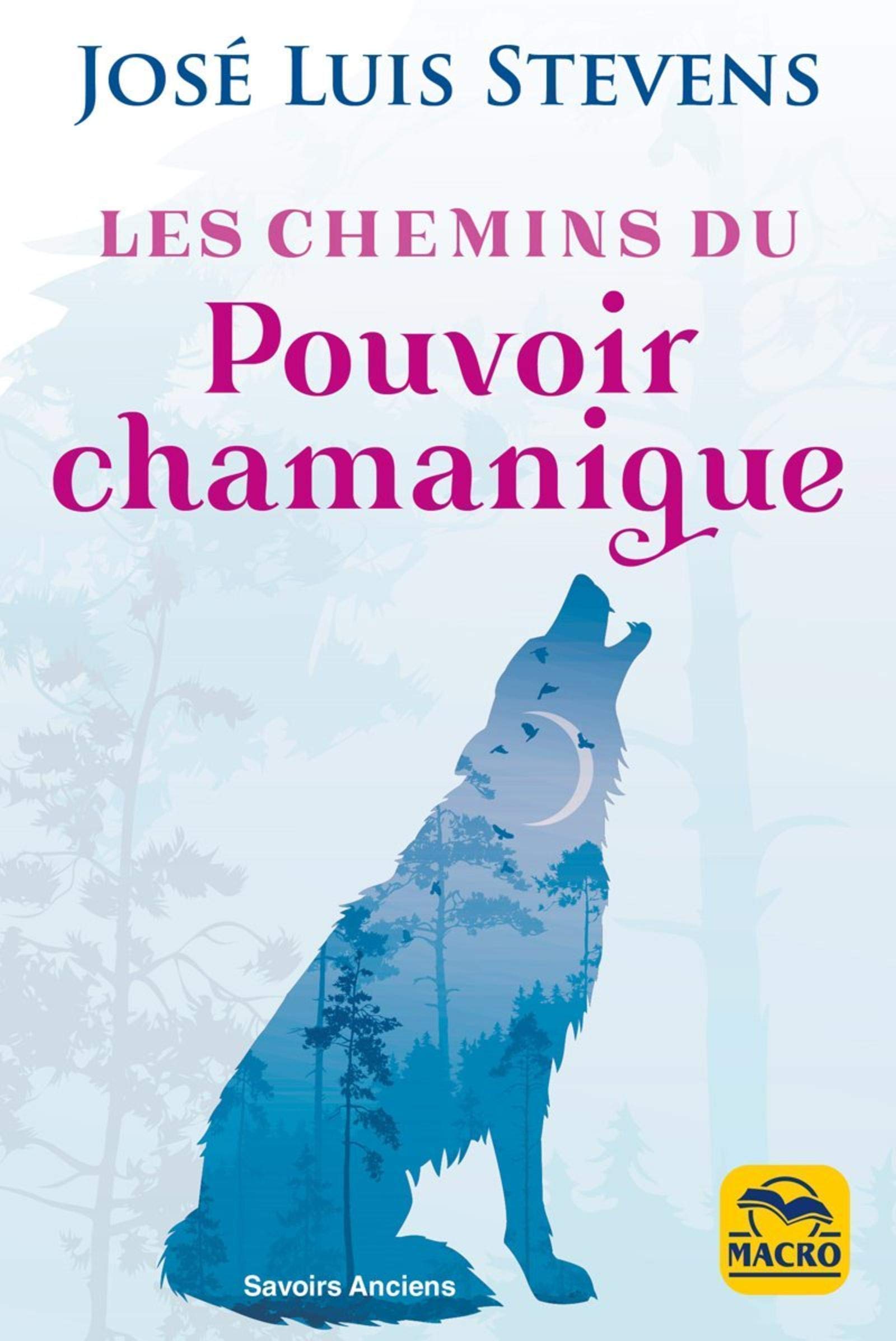 Les chemins du pouvoir chamanique book