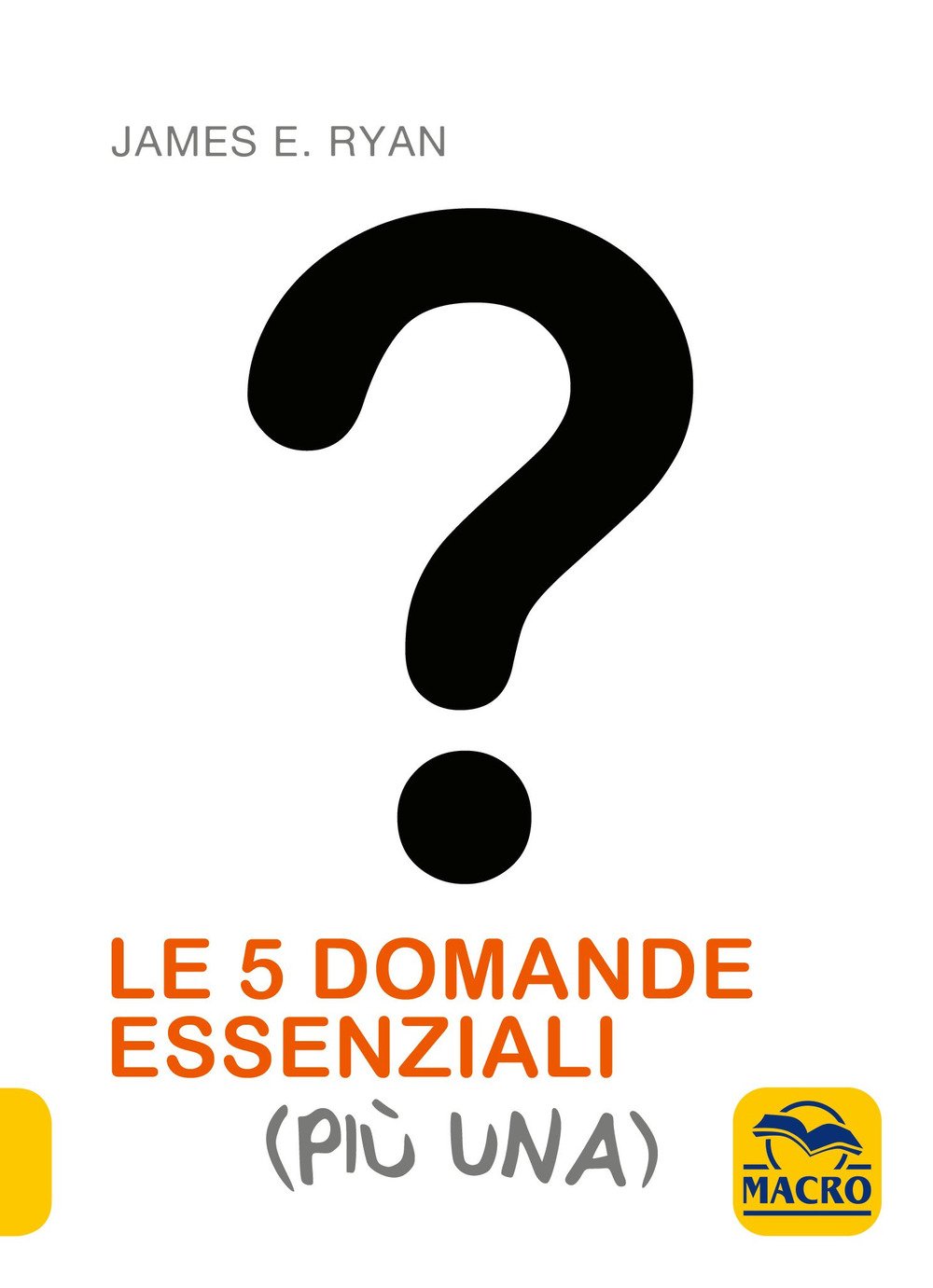 Le 5 domande essenziali (più una) book