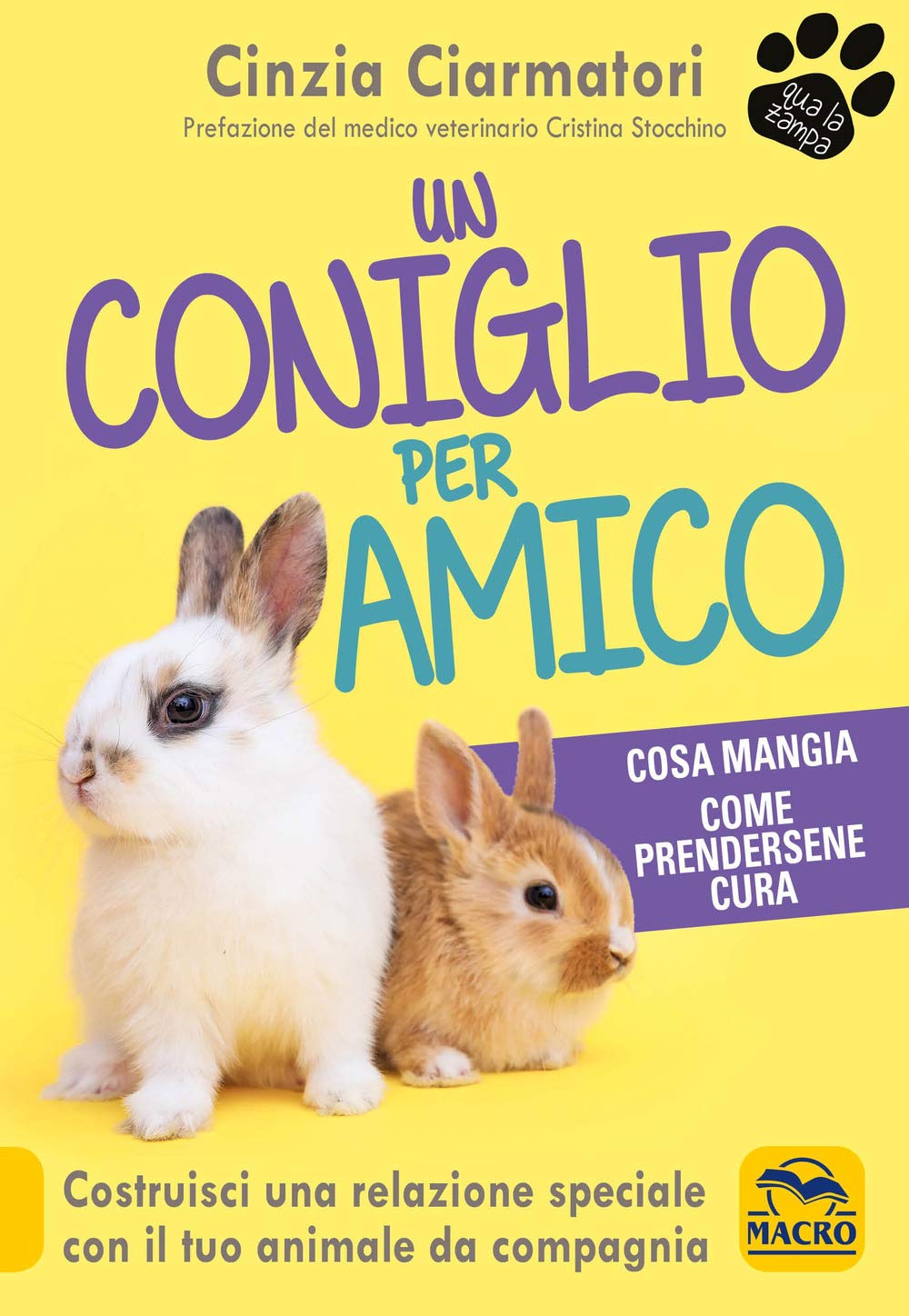 Un coniglio per amico. Costruisci una relazione speciale con il tuo animale da compagnia. Cosa mangia, come prendersene cura book