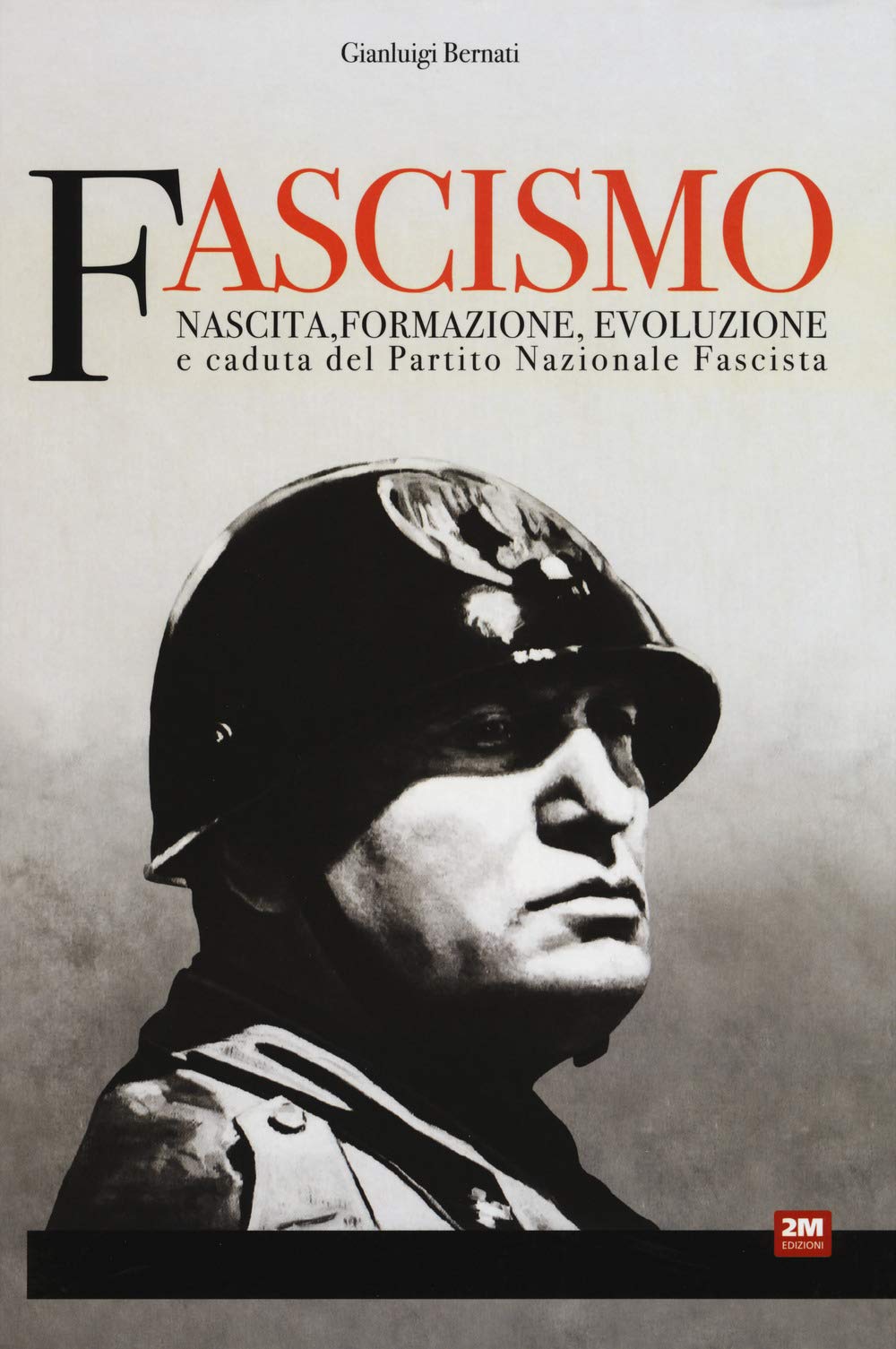 Fascismo. Nascita, formazione, evoluzione e caduta del partito nazionale fascista book