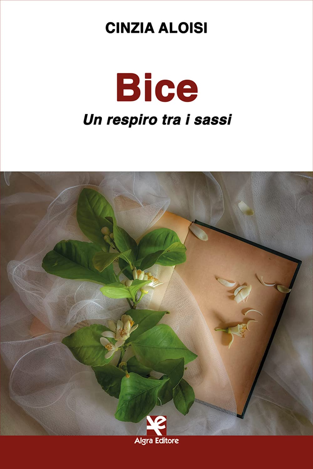 Bice. Un respiro tra i sassi book