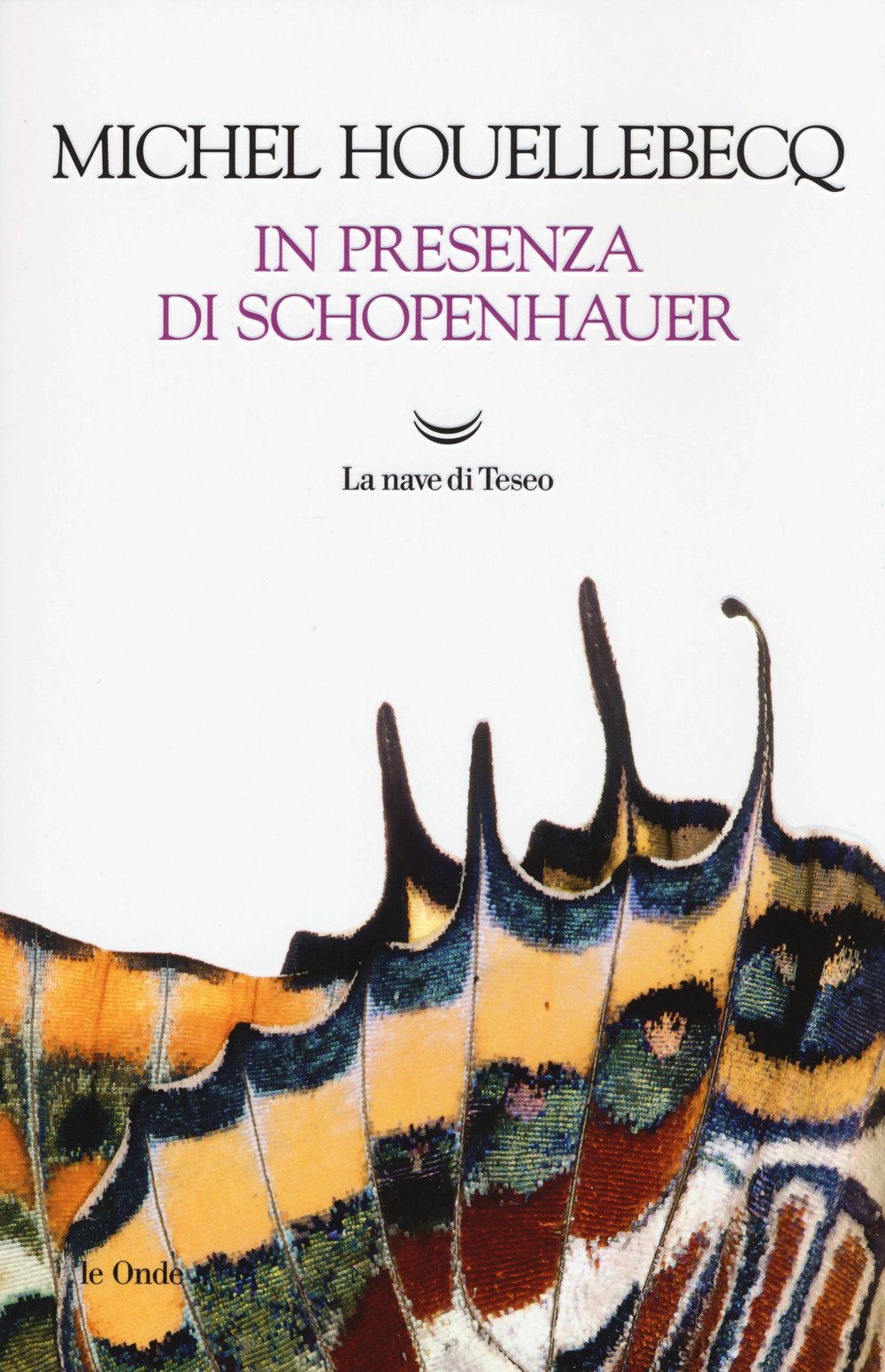 In presenza di Schopenhauer Philosophy