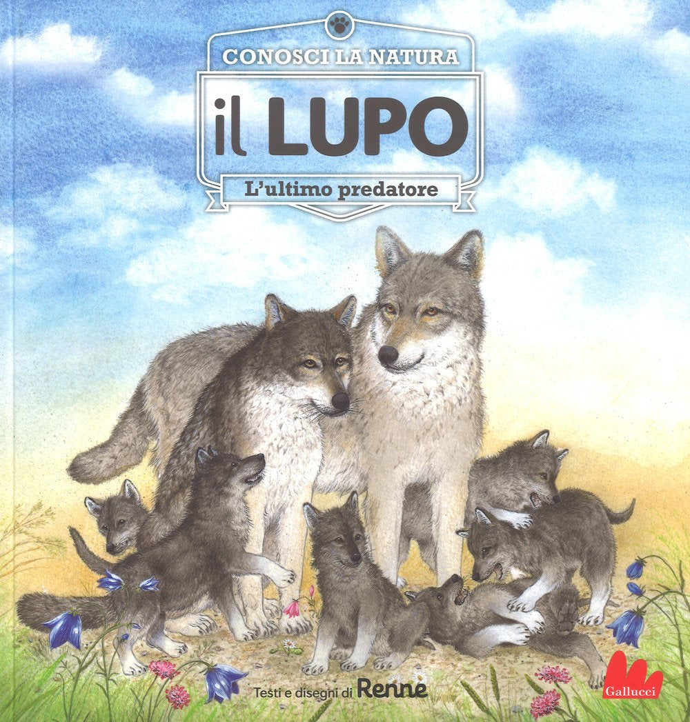 Il lupo. L'ultimo predatore. Conosci la natura. Ediz. a colori book