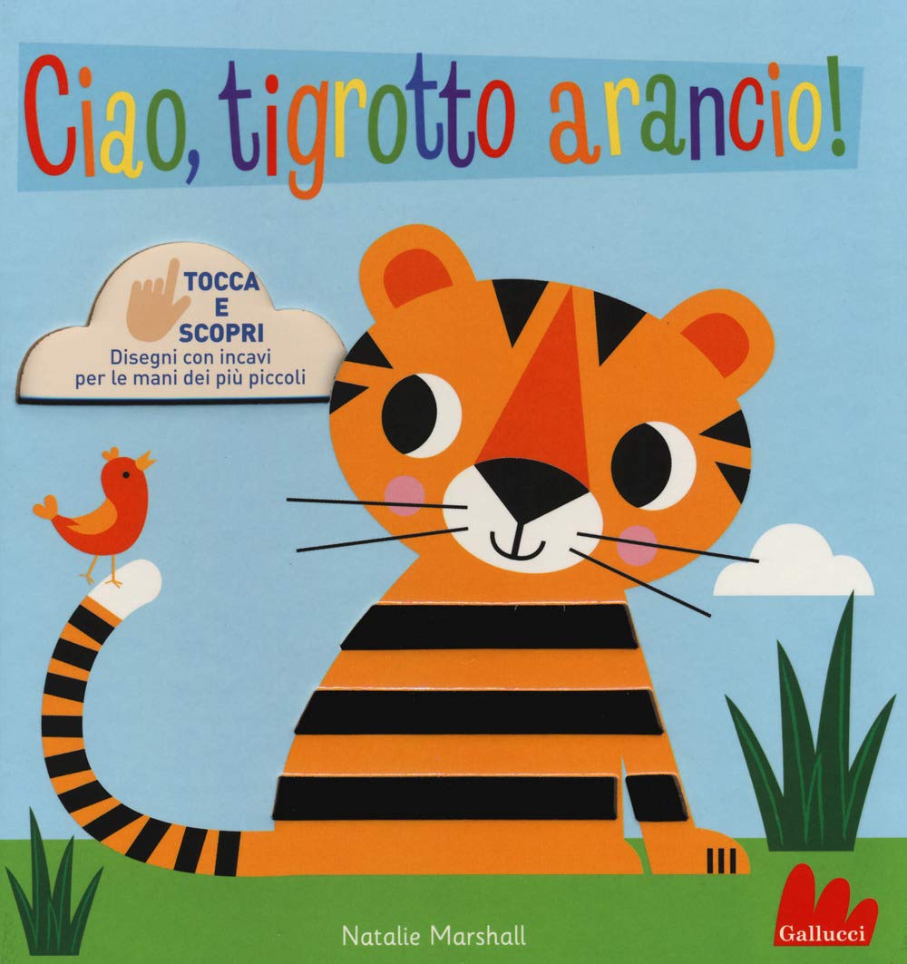 Ciao, tigrotto arancio! Tocca e scopri. Ediz. a colori book