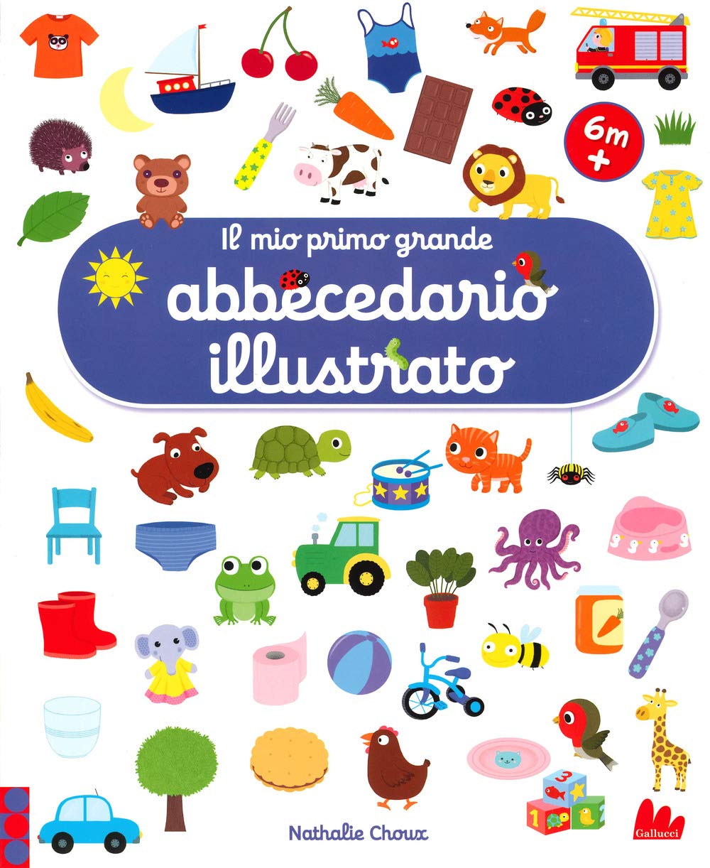 Il mio primo grande abbecedario illustrato. Ediz. a colori book