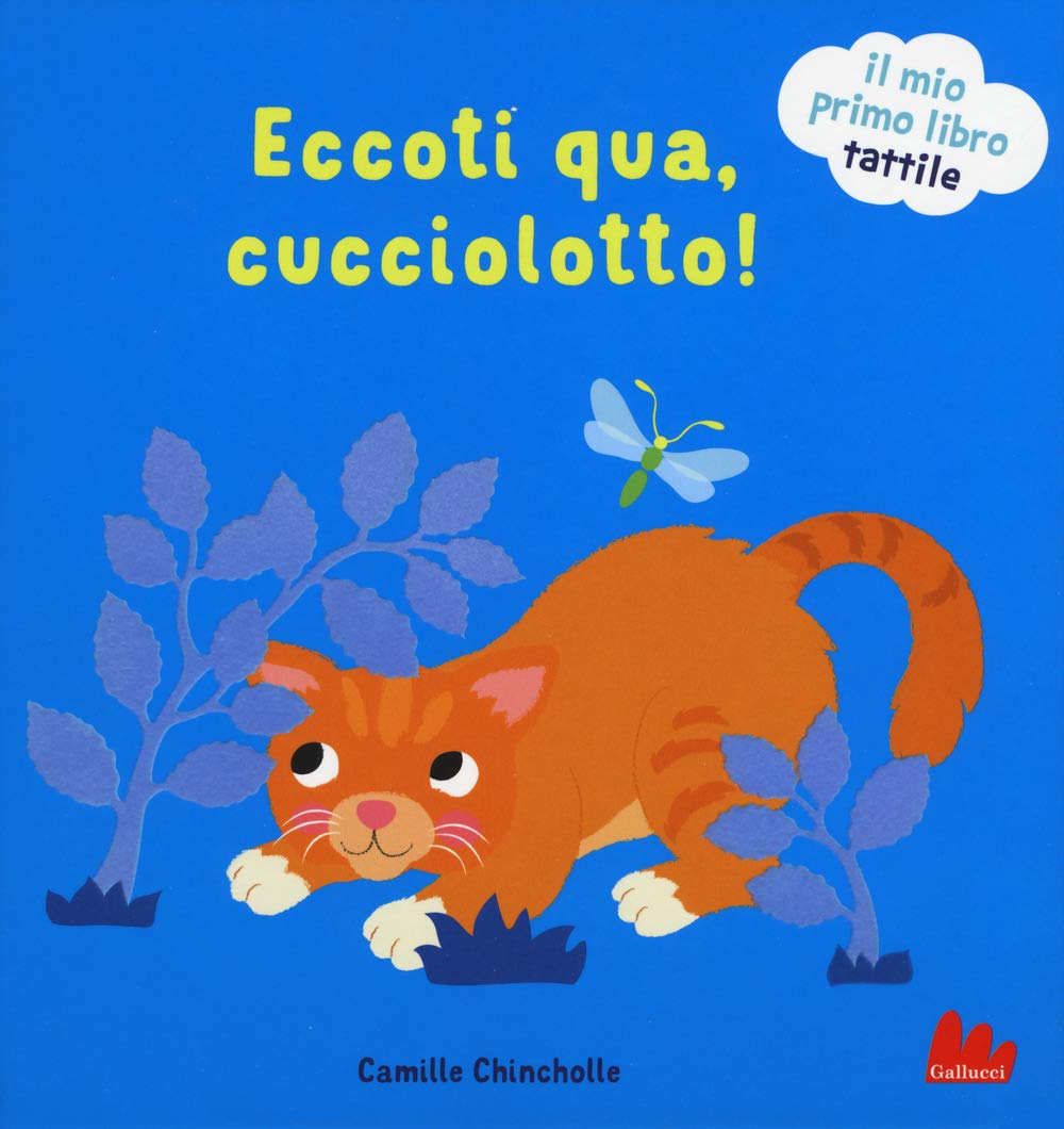Eccoti qua, cucciolotto! Il mio primo libro tattile. Ediz. a colori book