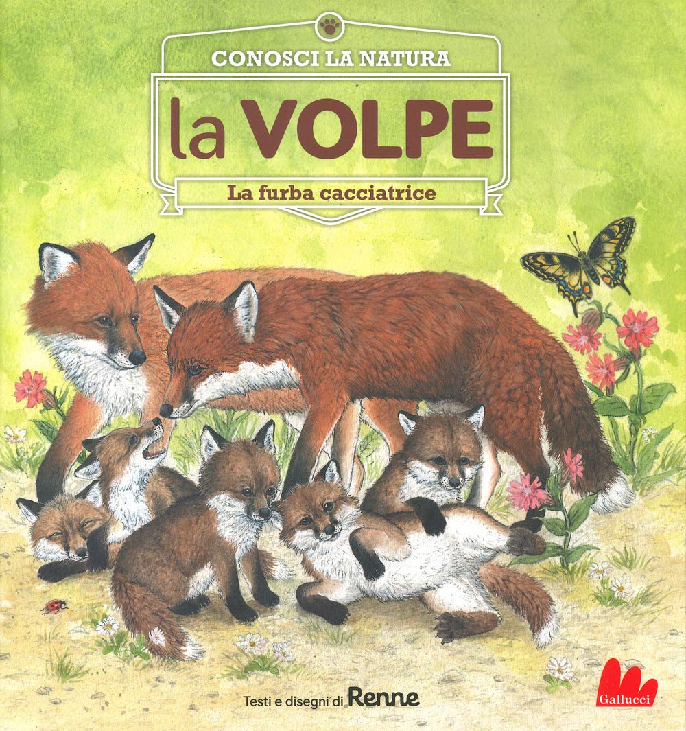 La volpe. La furba cacciatrice. Conosci la natura book