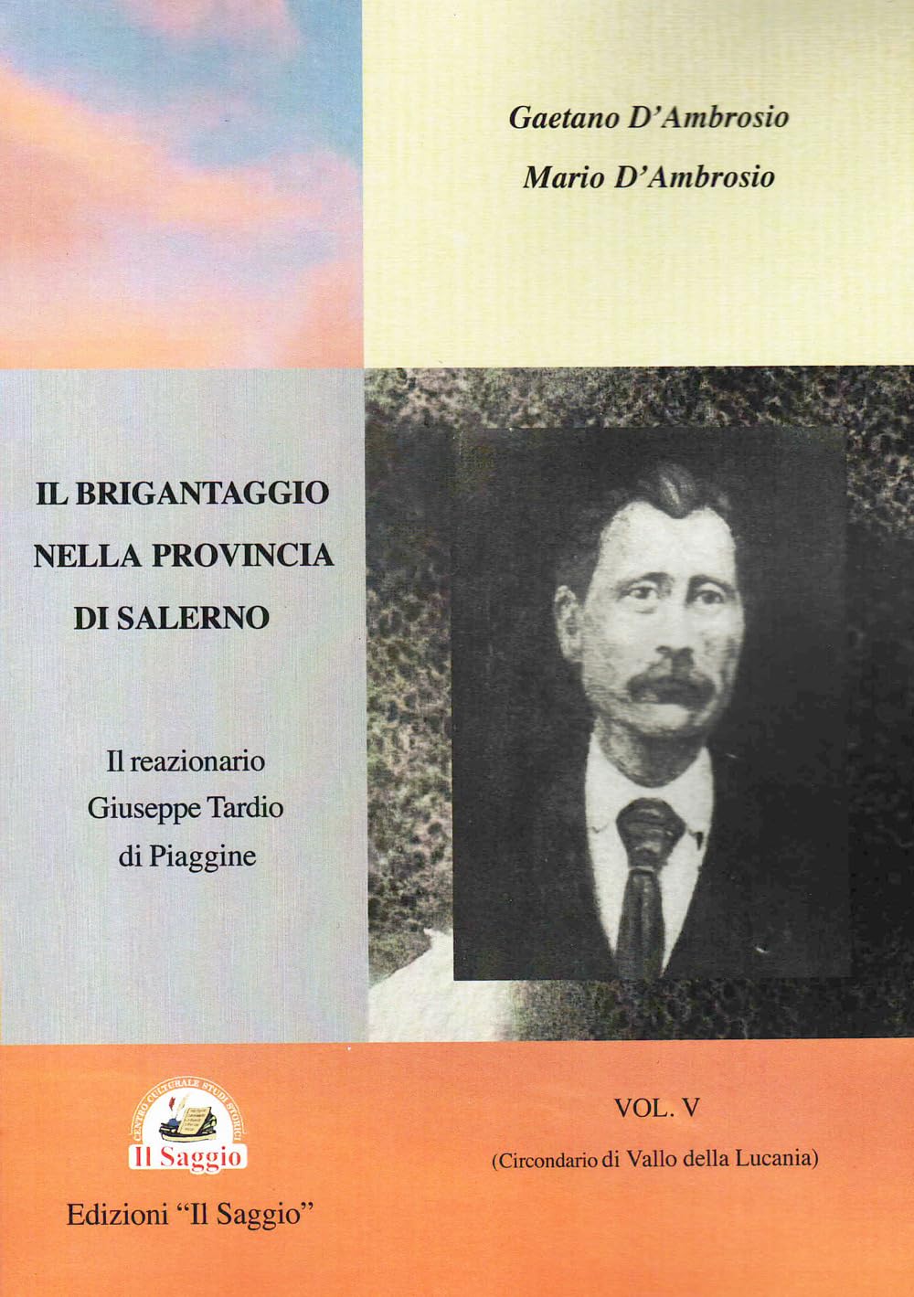 Il brigantaggio nella provincia di Salerno. (Circondario di Vallo della Lucania). Il reazionario Giuseppe Tardio (Vol. 5) Leisure, Home & Garden