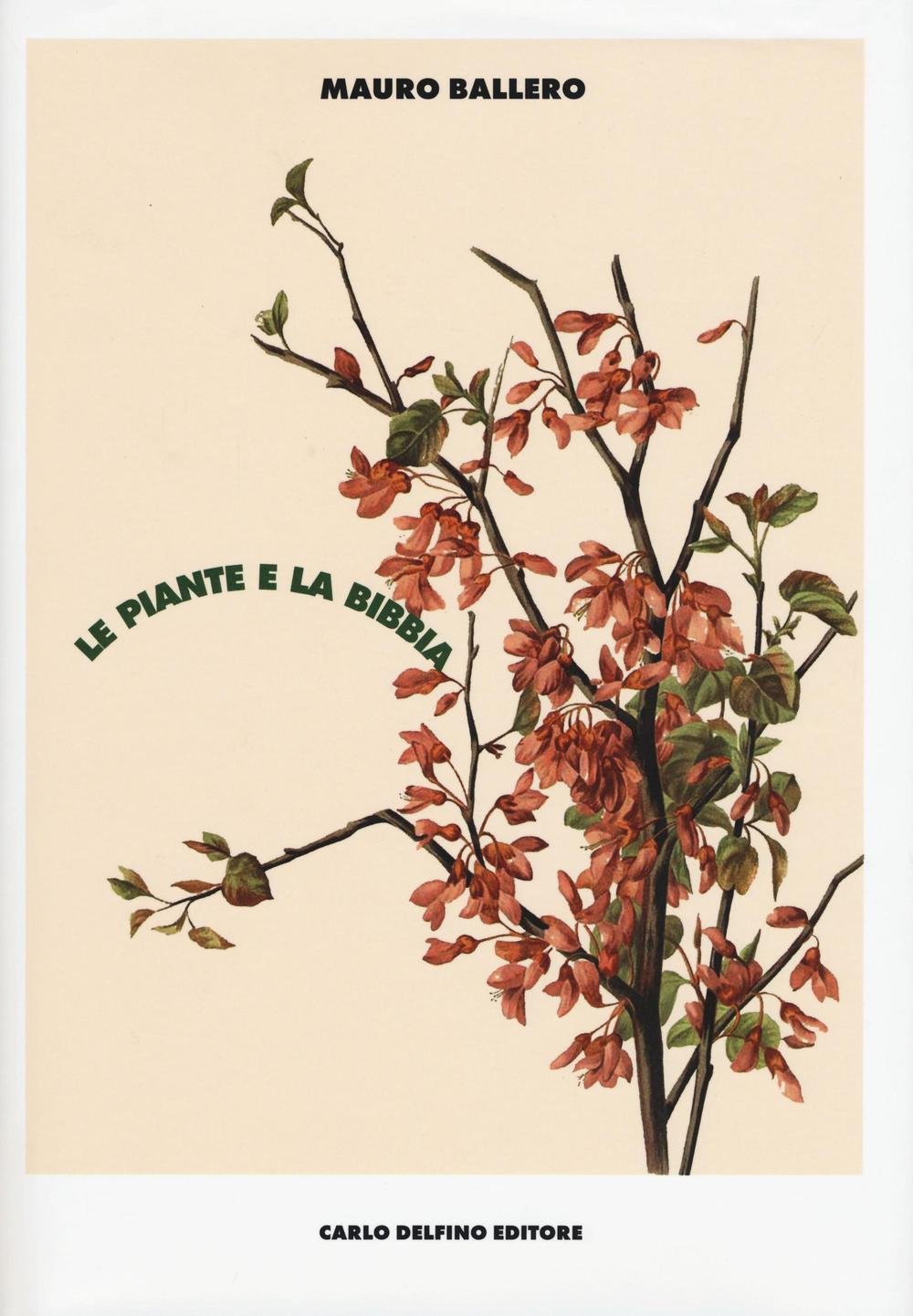 Le piante e la Bibbia. Ediz. a colori book