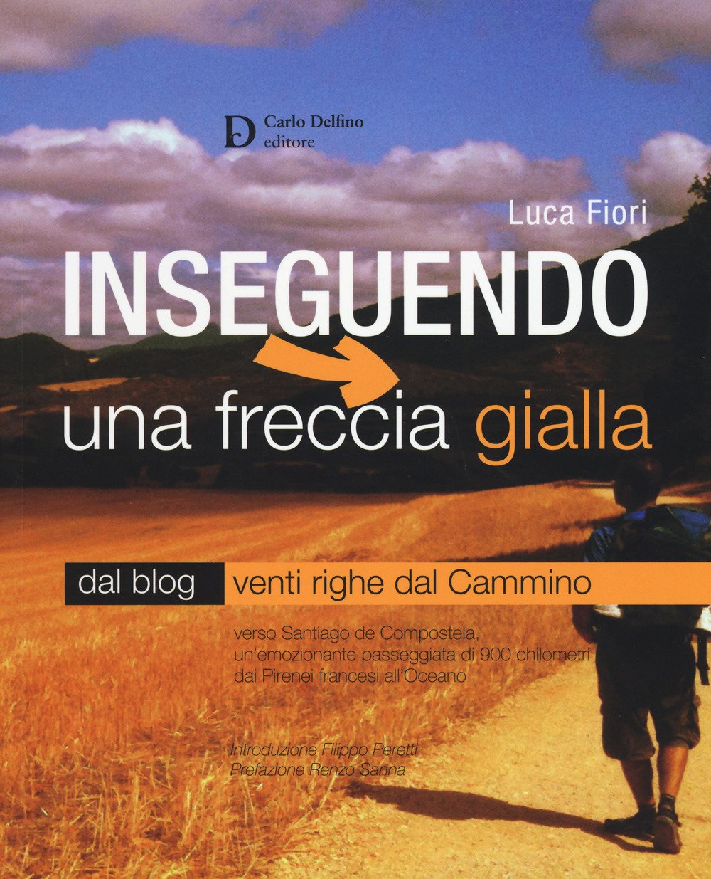 Inseguendo una freccia gialla. Verso Santiago de Compostela, un'emozionante passeggiata di 900 chilometri dai Pirenei francesi all'Oceano book