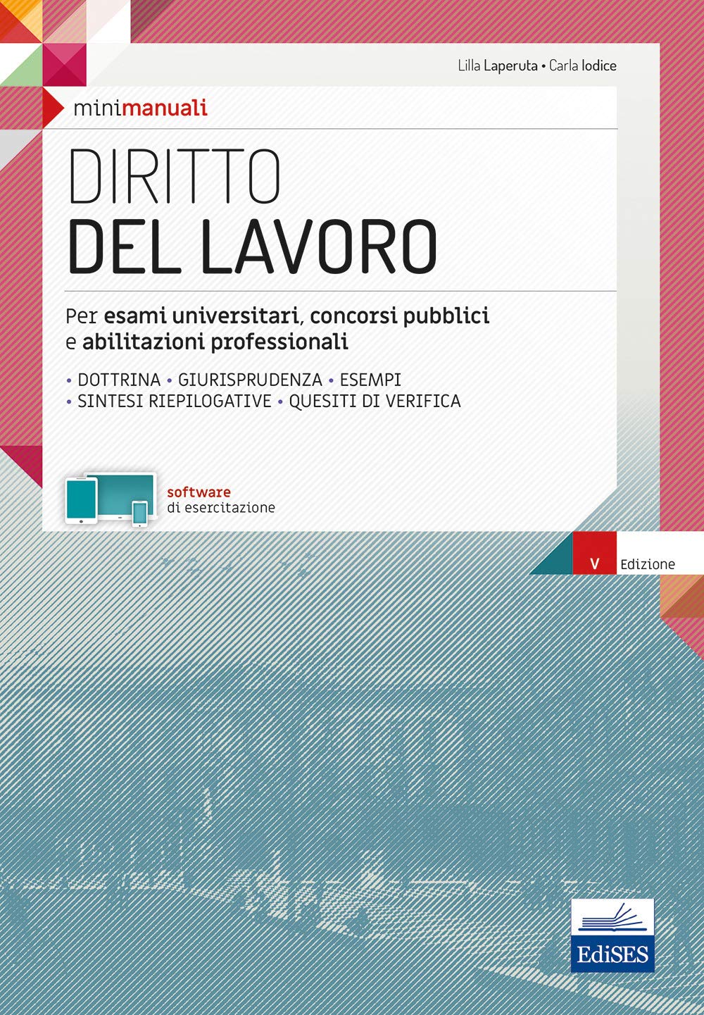 Diritto del lavoro. Teoria e test per la preparazione all'esame book