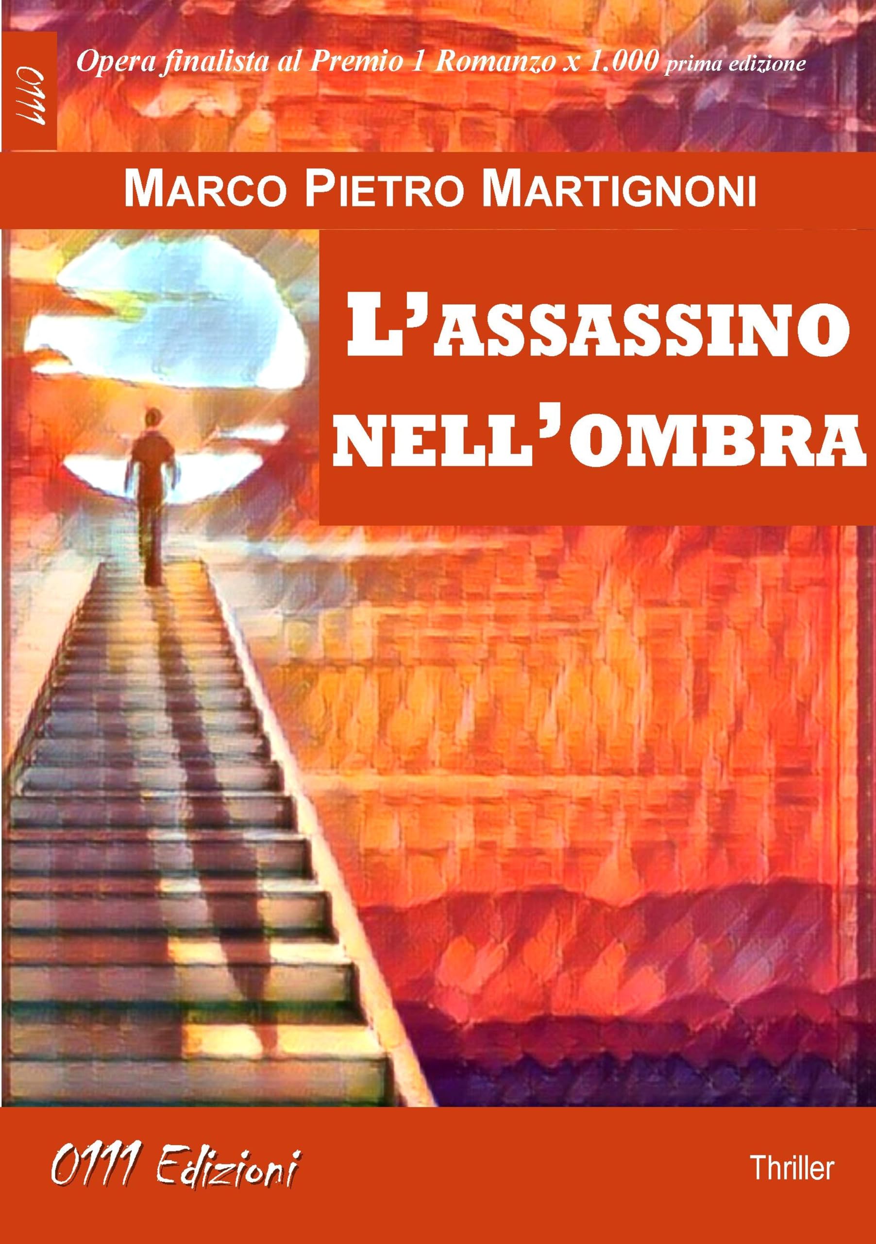 L'assassino nell'ombra Contemporary literature