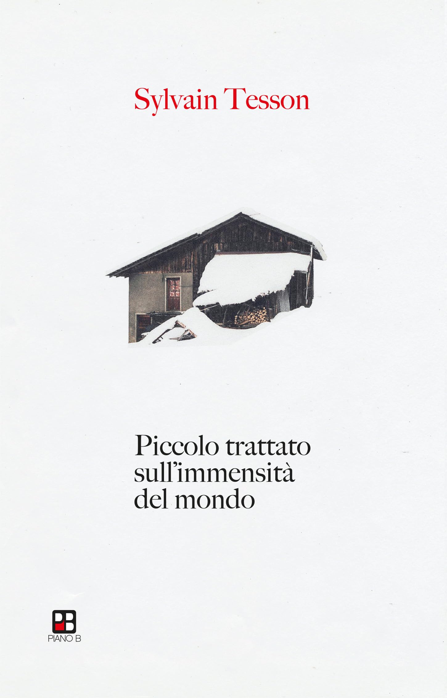 Piccolo trattato sull'immensità del mondo book