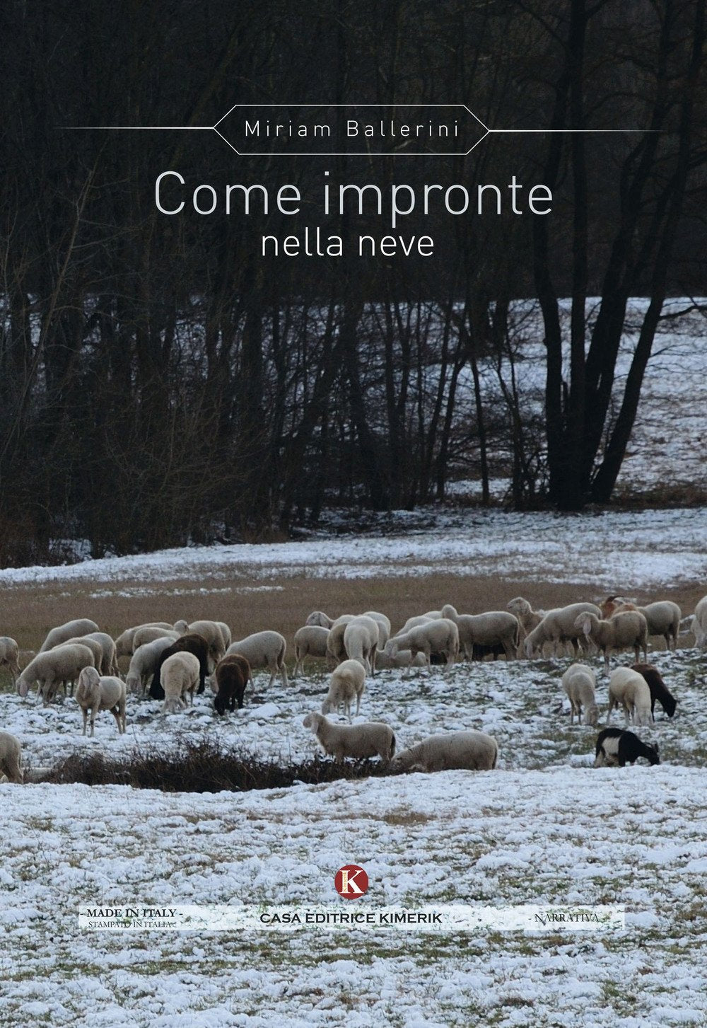 Come impronte nella neve book