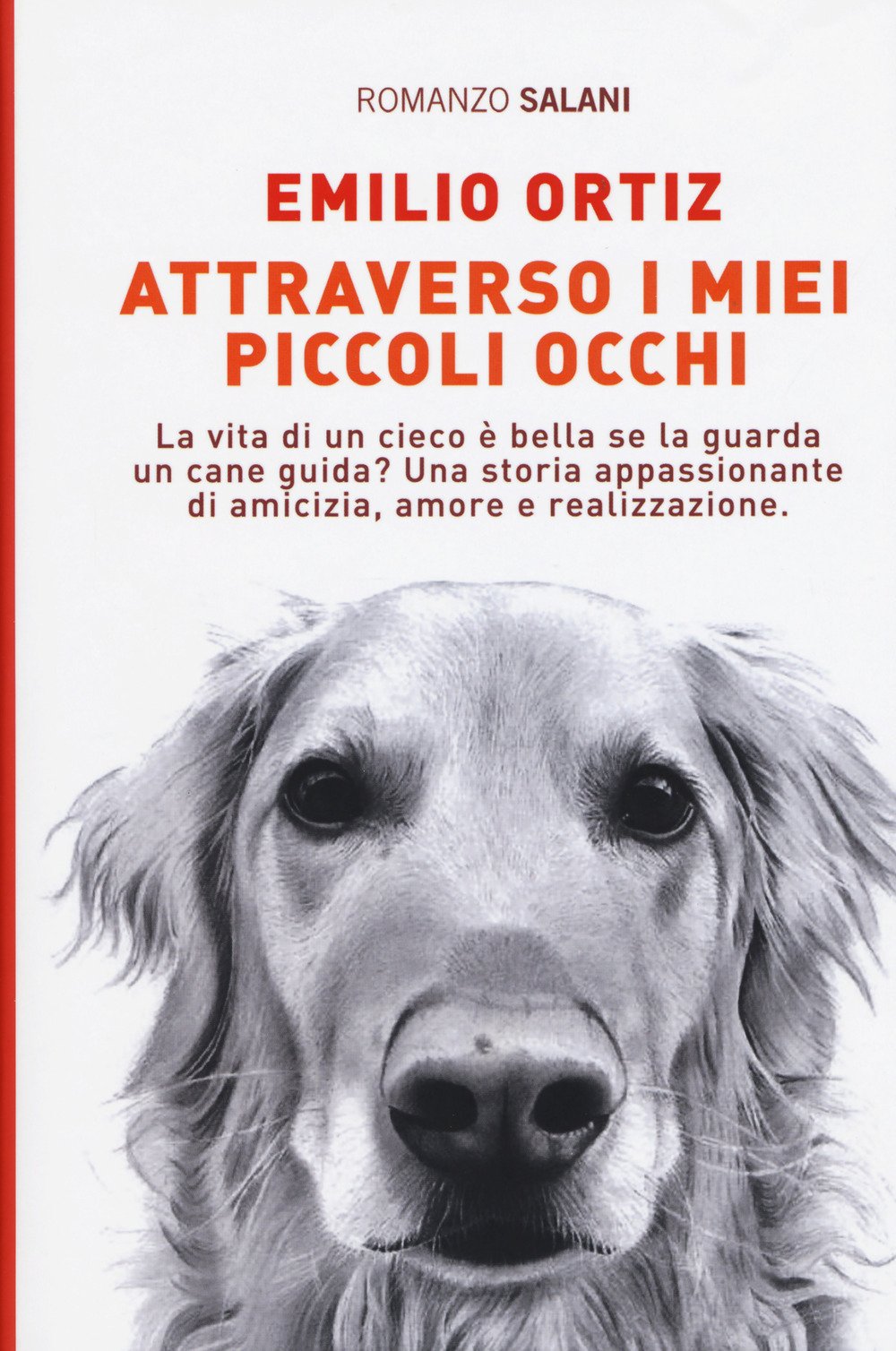Attraverso i miei piccoli occhi (Fuori collana Salani) Contemporary literature