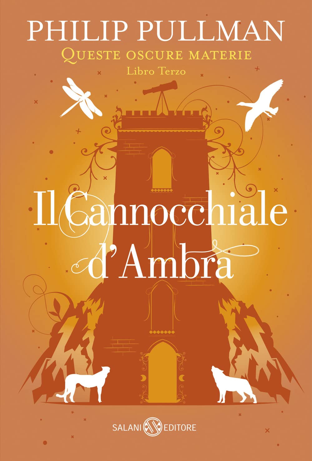 Il cannocchiale d'Ambra. Queste oscure materie (Fuori collana Salani) Contemporary literature