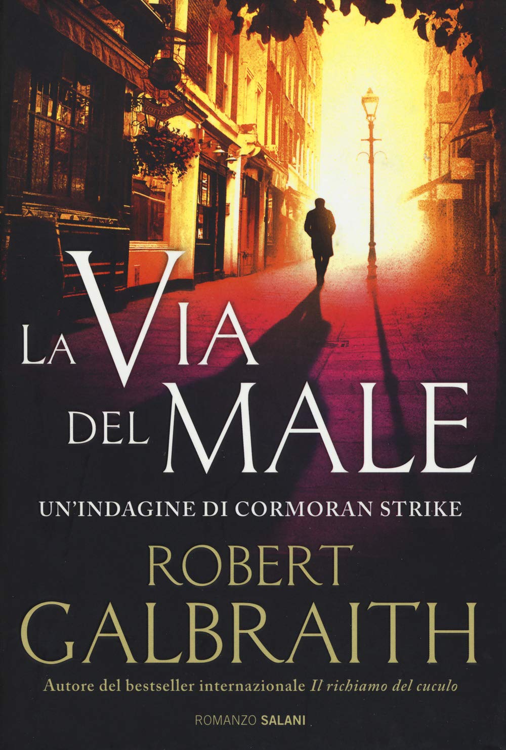 La via del male. Un'indagine di Cormoran Strike Contemporary literature