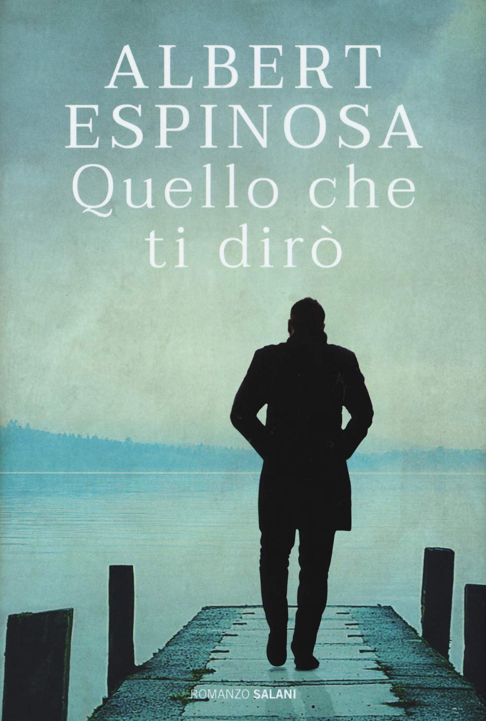 Quello che ti dirò Contemporary literature Books