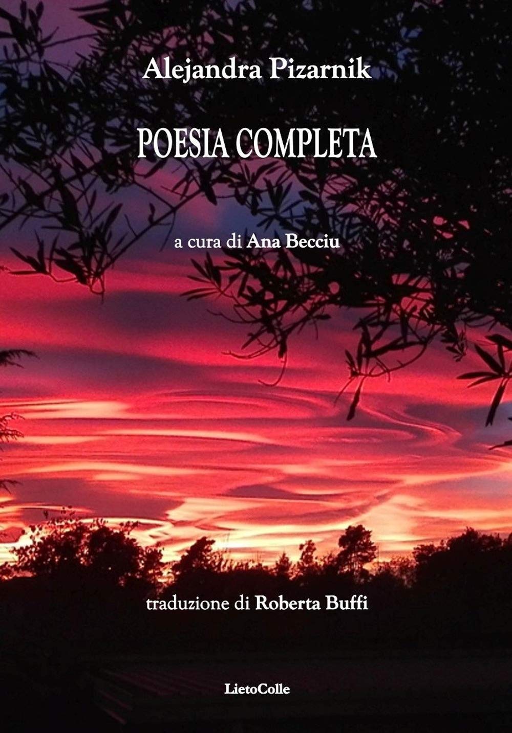 Poesia completa (Altre terre) Poetry