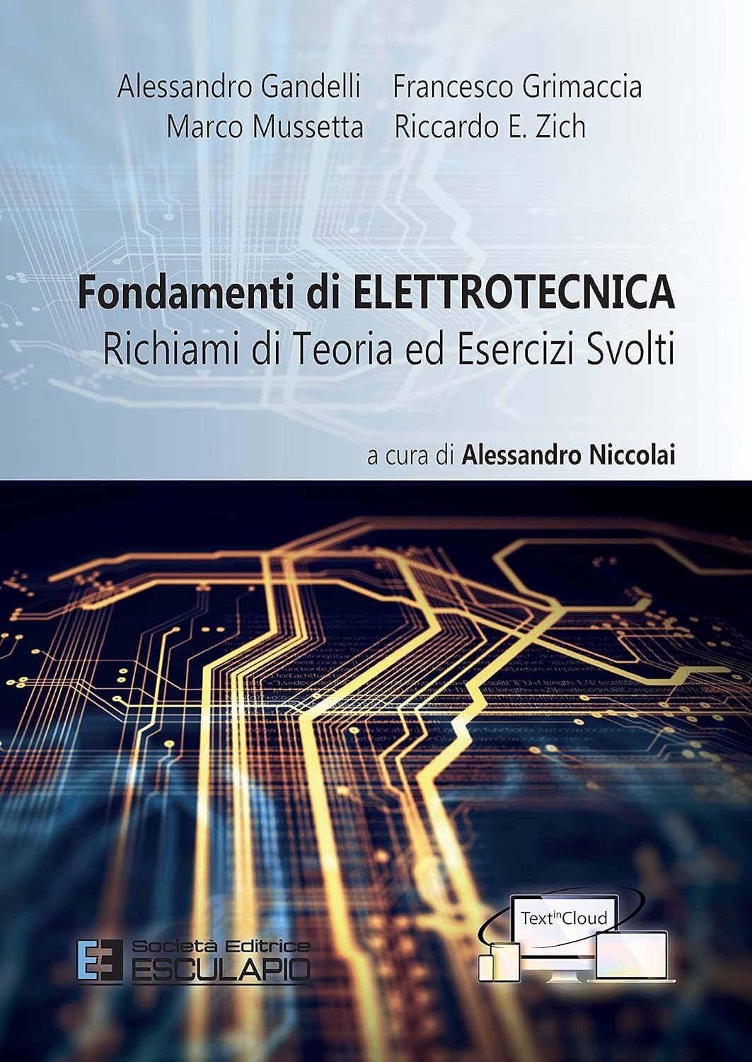 Fondamenti di elettrotecnica. Richiami di teoria ed esercizi svolti. Con espansione online Business & Technology