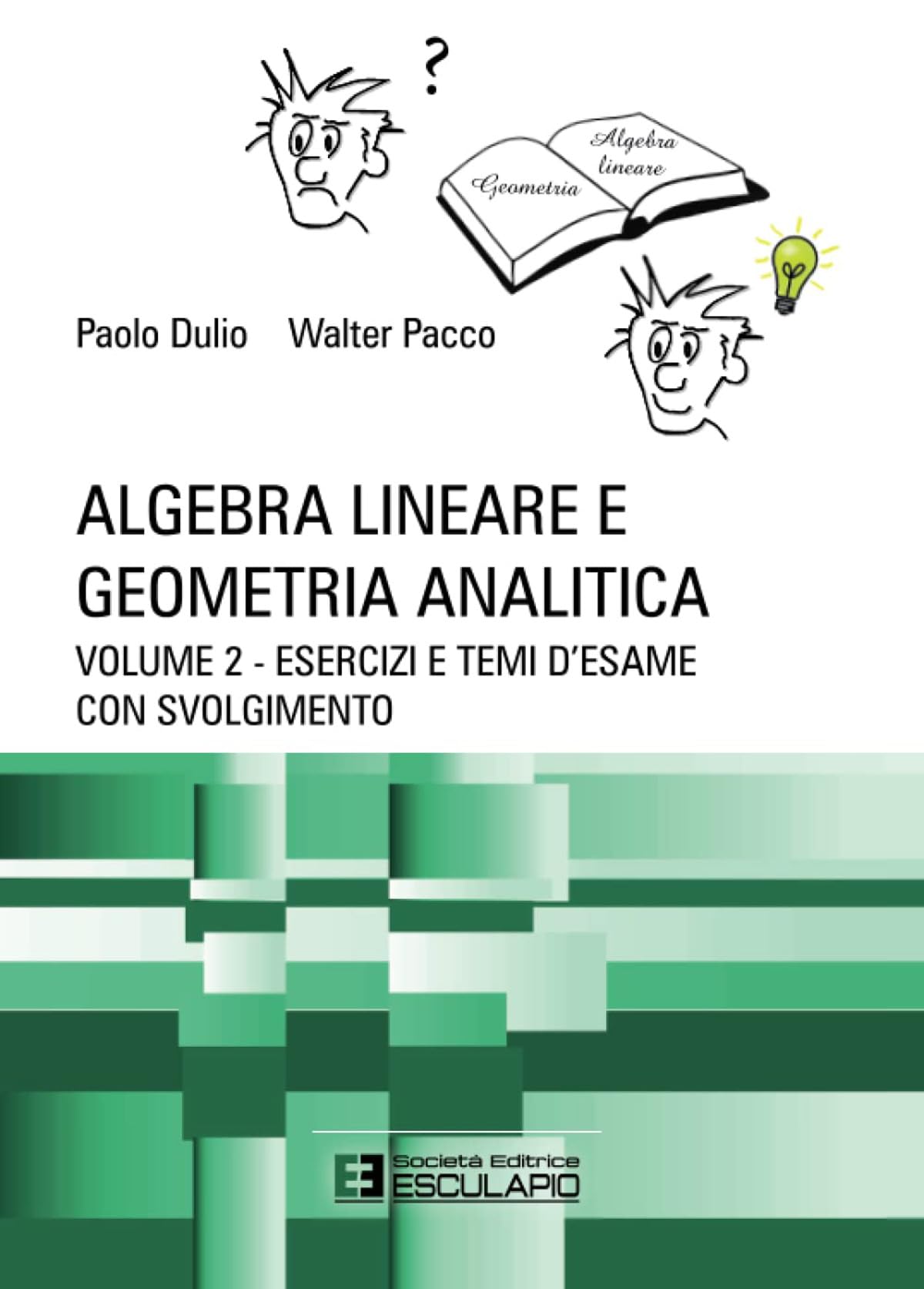 Algebra lineare e geometria analitica. Esercizi e temi d'esame con svolgimento (Vol. 2) Mathematics