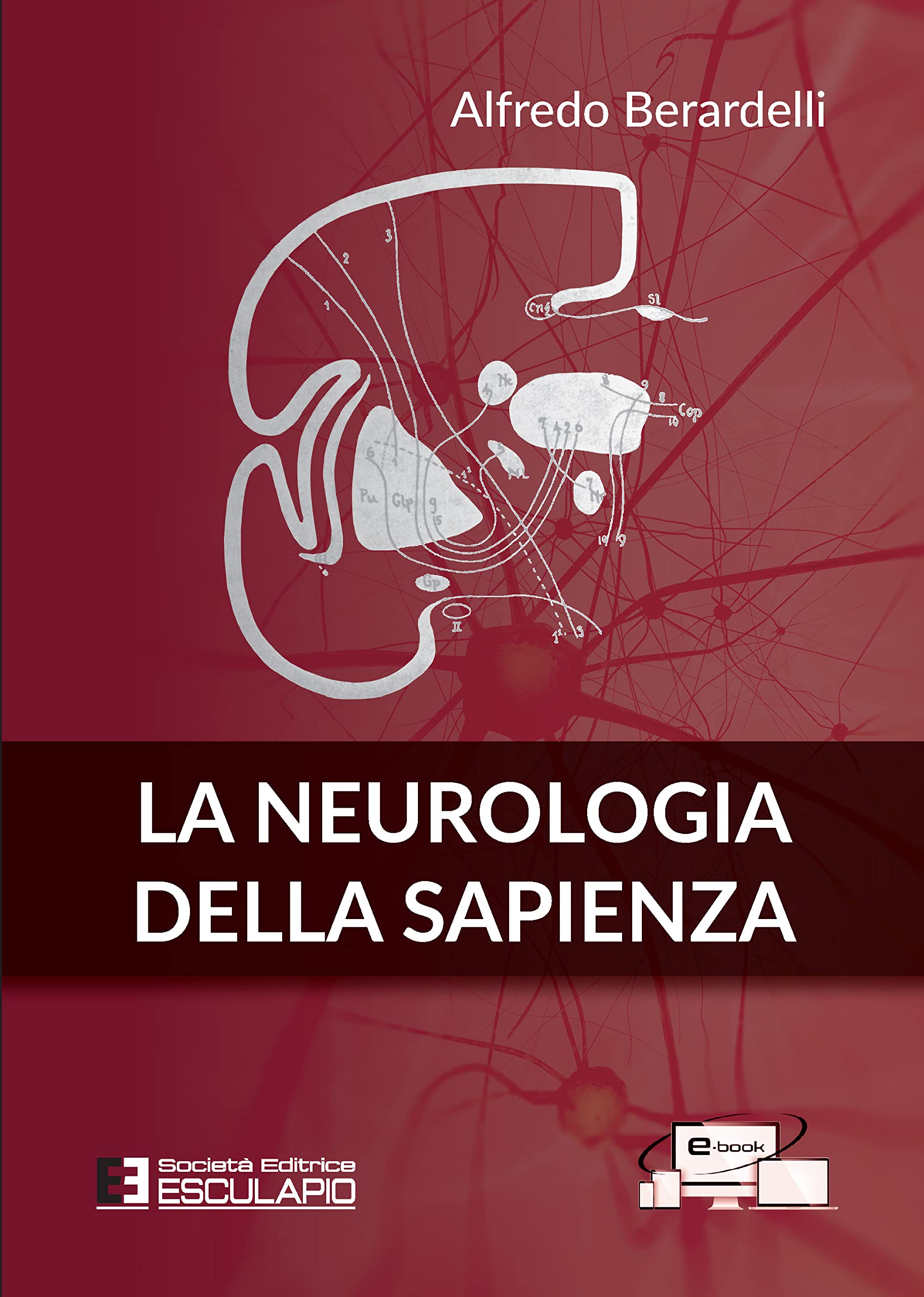 La neurologia della Sapienza book