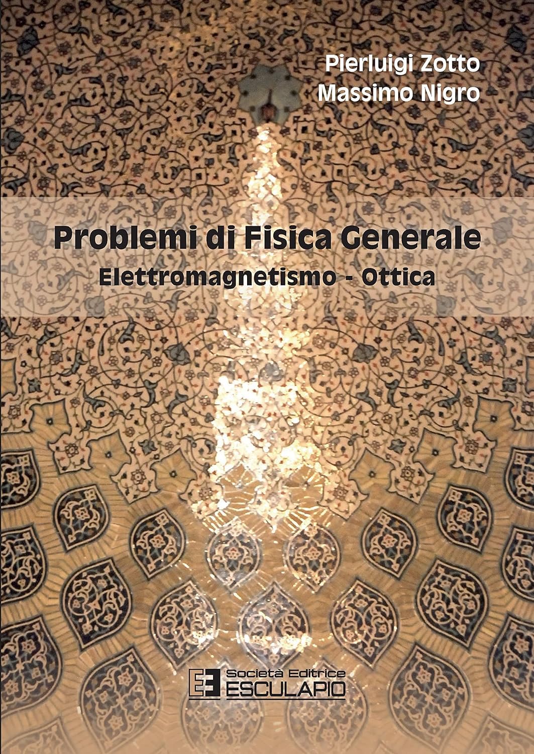 Problemi di Fisica Generale. Elettromagnetismo e Ottica book