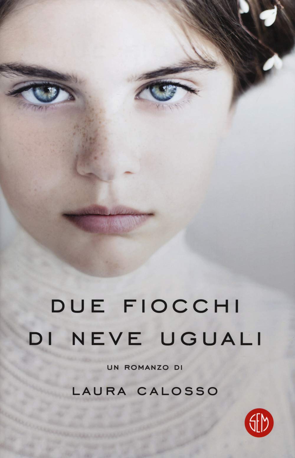 Due fiocchi di neve uguali book