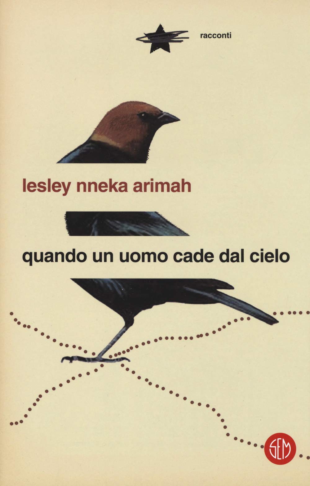 Quando un uomo cade dal cielo book