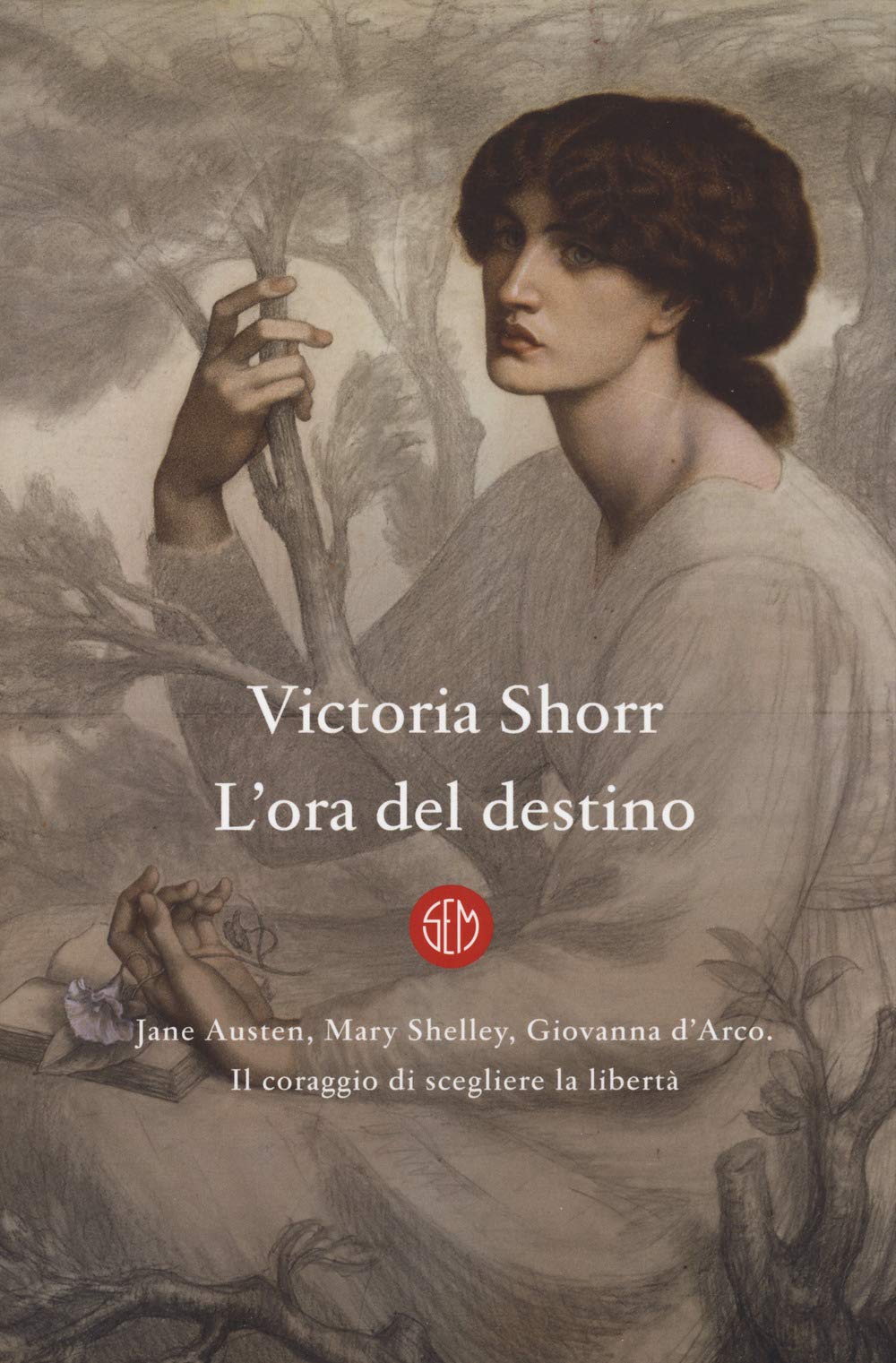 L' ora del destino. Jane Austen, Mary Shelley, Giovanna D'Arco. Il coraggio di scegliere la libertà Biographies