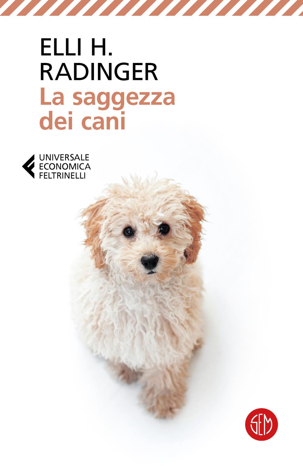 La saggezza dei cani. Lezioni di vita, amore e amicizia book