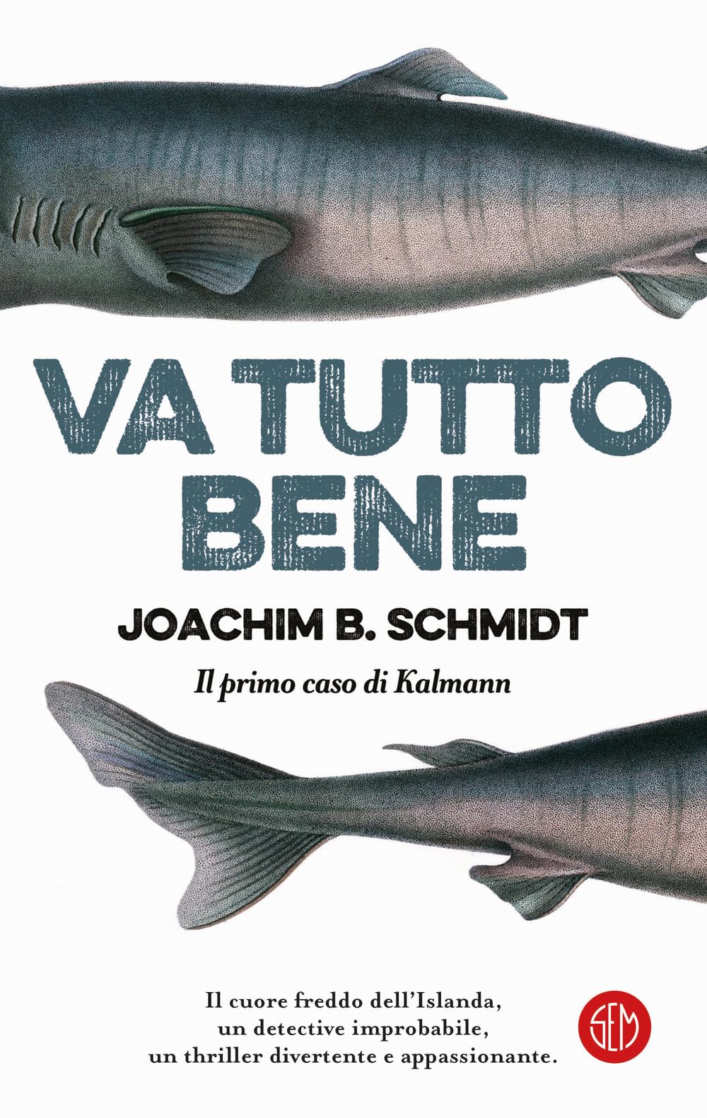 Va tutto bene. Il primo caso di Kalmann Contemporary literature