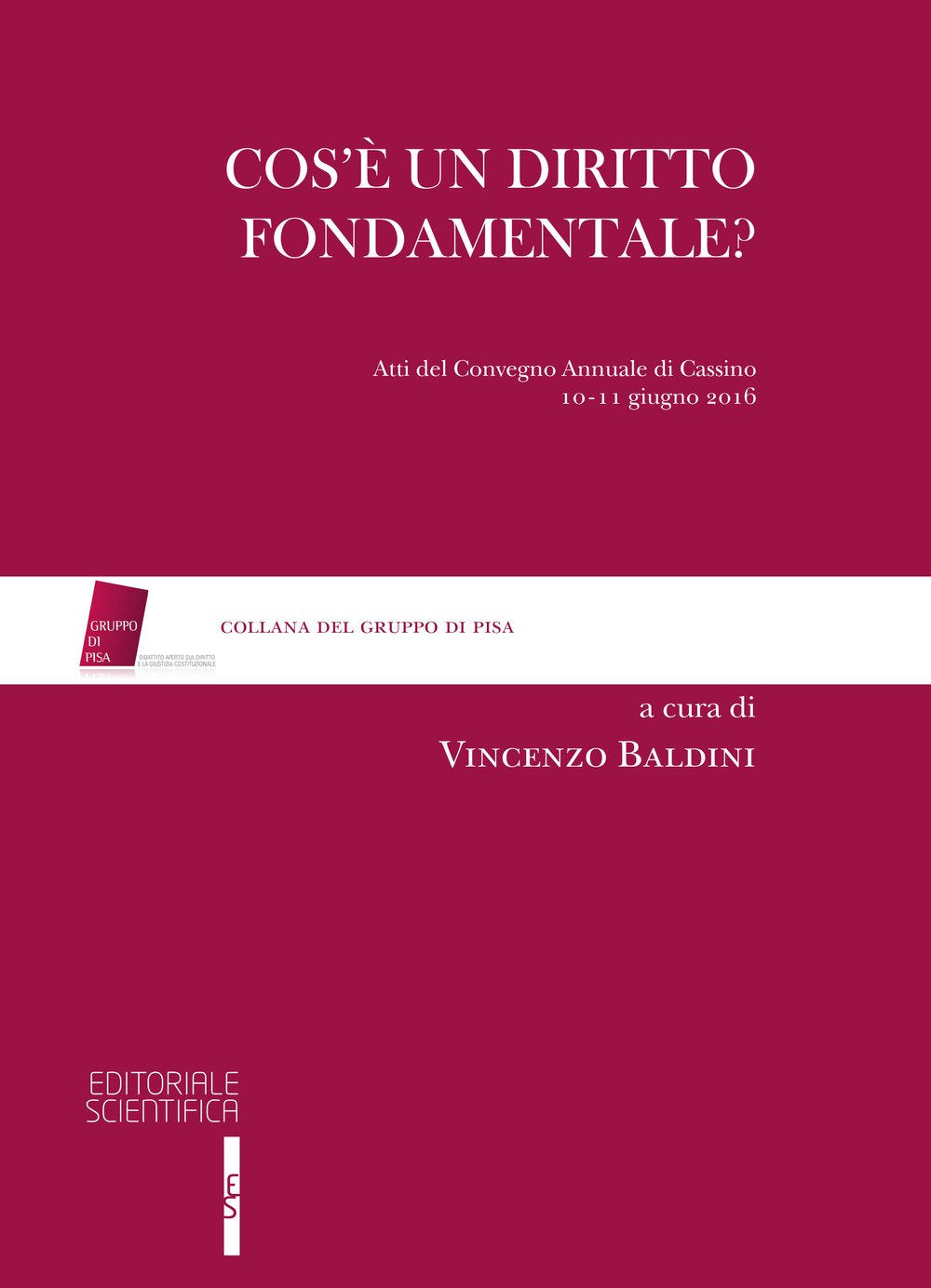 Cos'è un diritto fondamentale? Atti del Convegno (Cassino, 10-11 giugno 2016) (Gruppo di Pisa) Law
