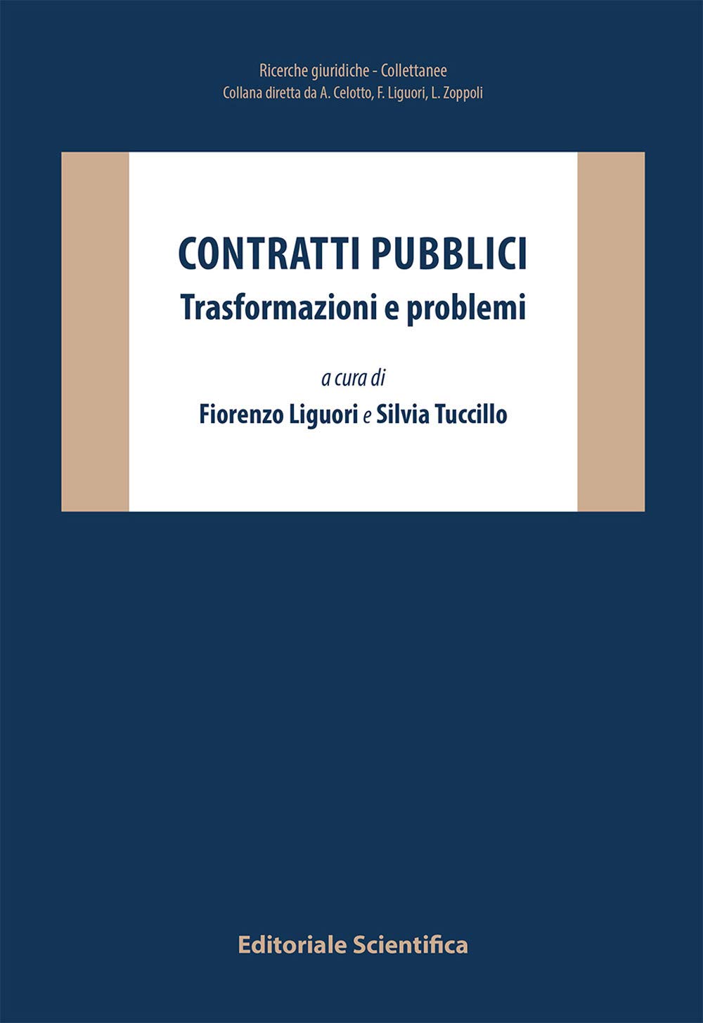 Contratti pubblici. Trasformazioni e problemi (Ricerche giuridiche. Nuovissima serie) Law