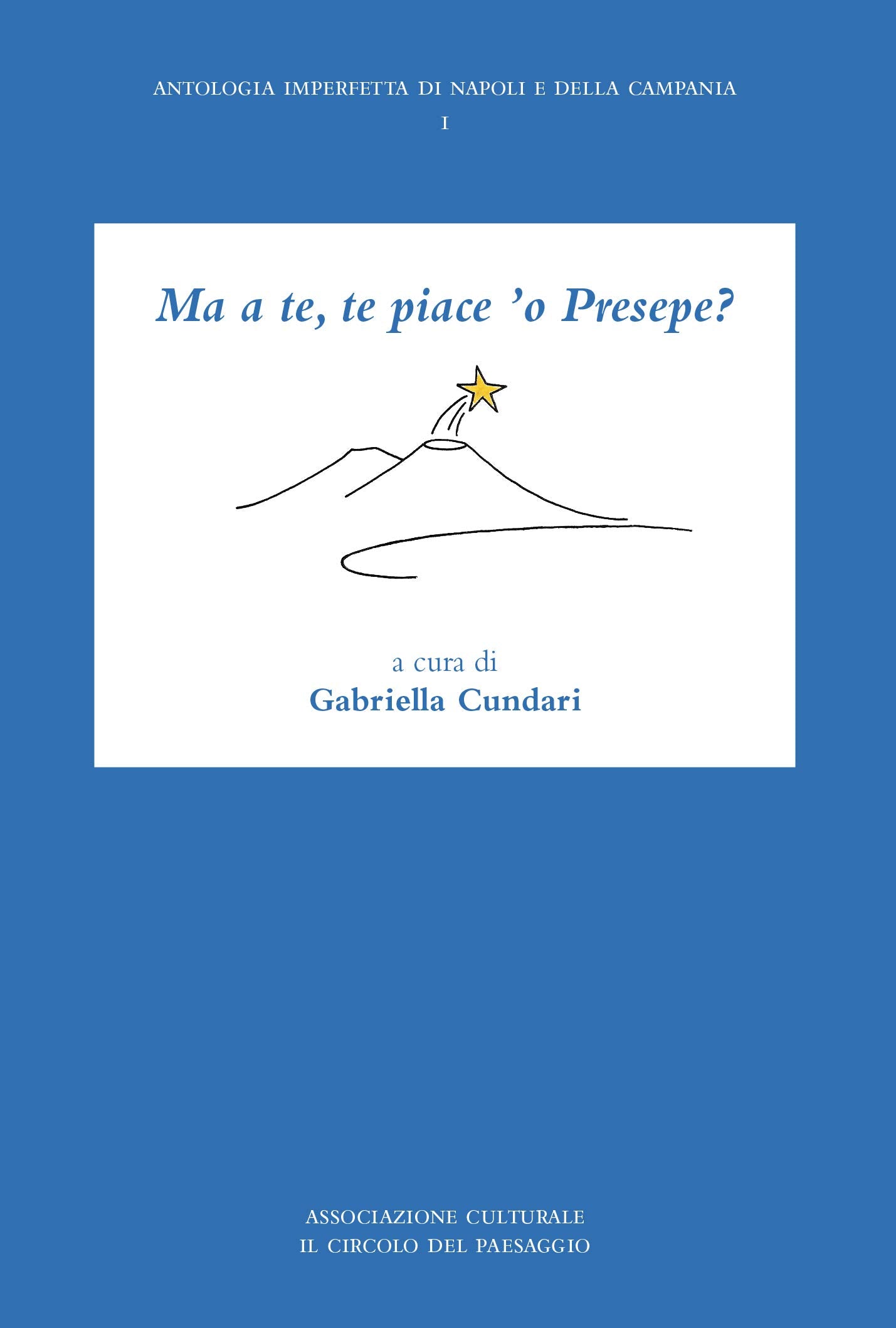 Ma a te, te piace 'o Presepe? (Antologia imperfetta di Napoli e della Campania) Books