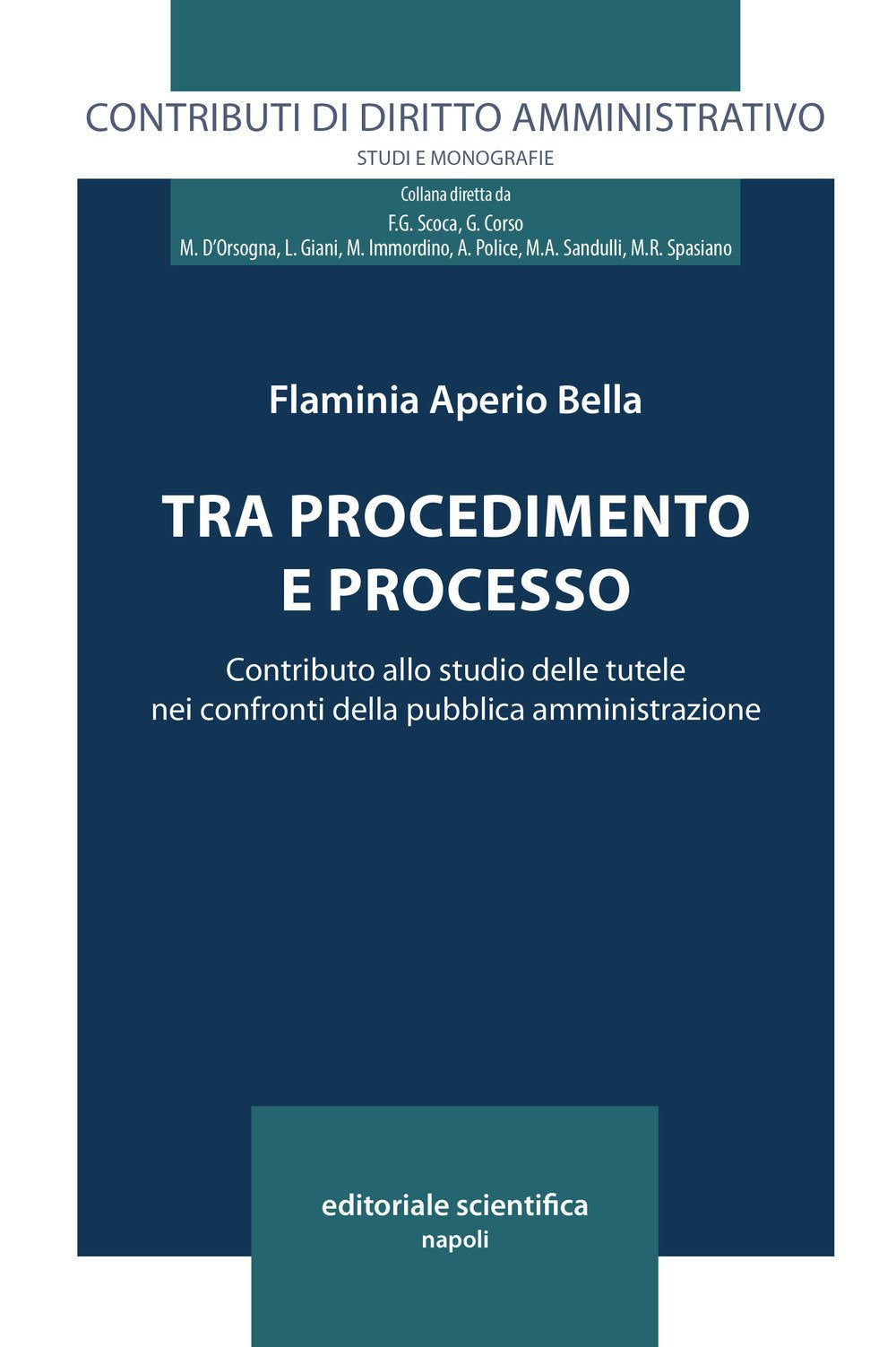 Tra procedimento e processo. Contributo allo studio delle tutele nei confronti delle pubblica amministrazione (Contributi di diritto amministrativo. Studi e monografie) Law