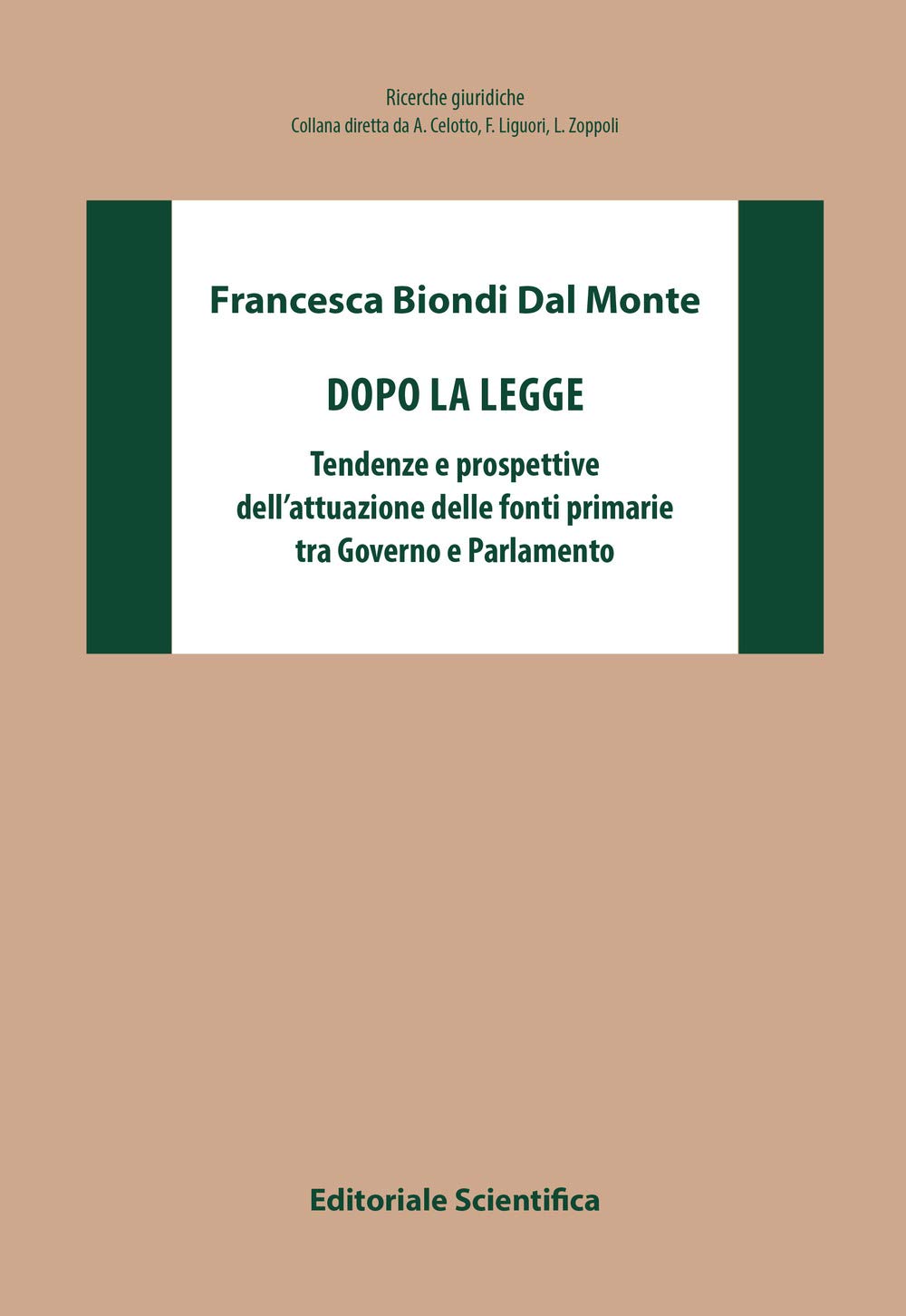 Dopo la legge. Tendenze e prospettive dell'attuazione delle fonti primarie tra Governo e Parlamento (Ricerche giuridiche. Nuovissima serie) Books