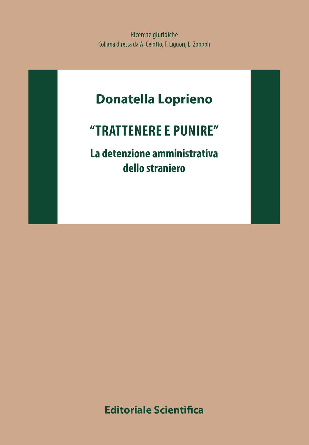 «Trattenere e punire». La detenzione amministrativa dello straniero (Ricerche giuridiche. Nuovissima serie) Law
