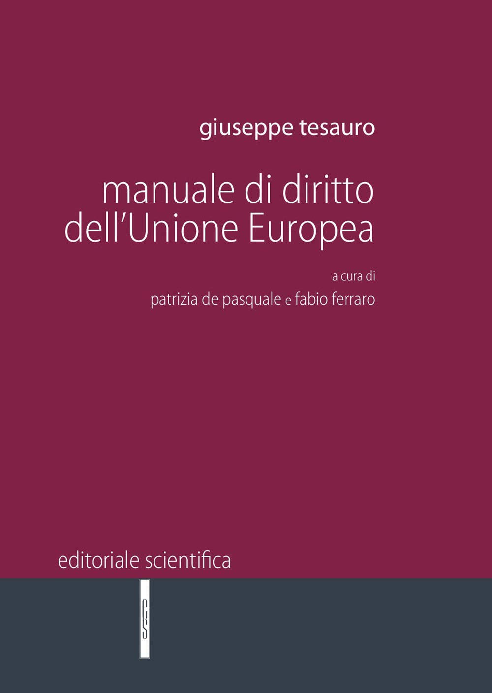 Manuale di diritto dell'Unione Europea (Manuali per l'Università) Law