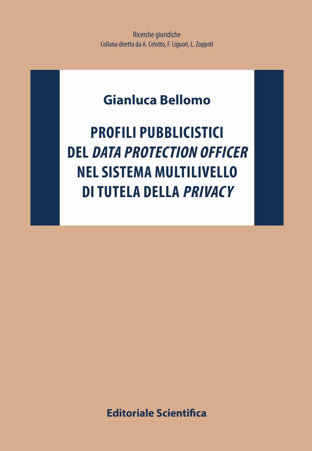 Profili pubblicistici del data protection officer nel sistema multilivello di tutela della privacy book