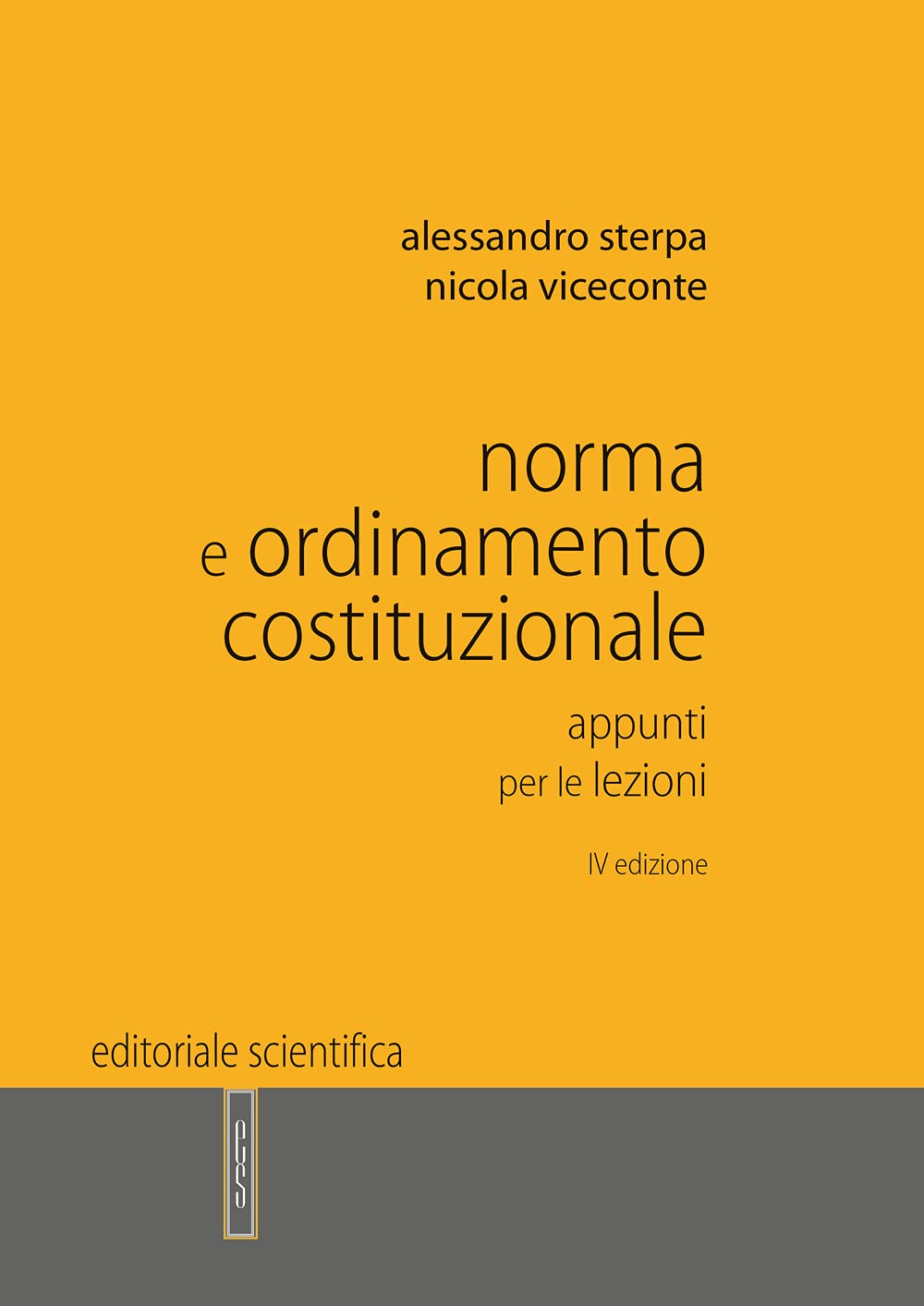 Norma e ordinamento costituzionale. Appunti per le lezioni book
