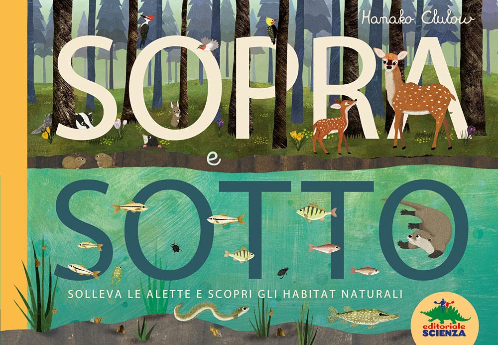 Sopra e sotto. Solleva le alette e scopri gli habitat naturali book