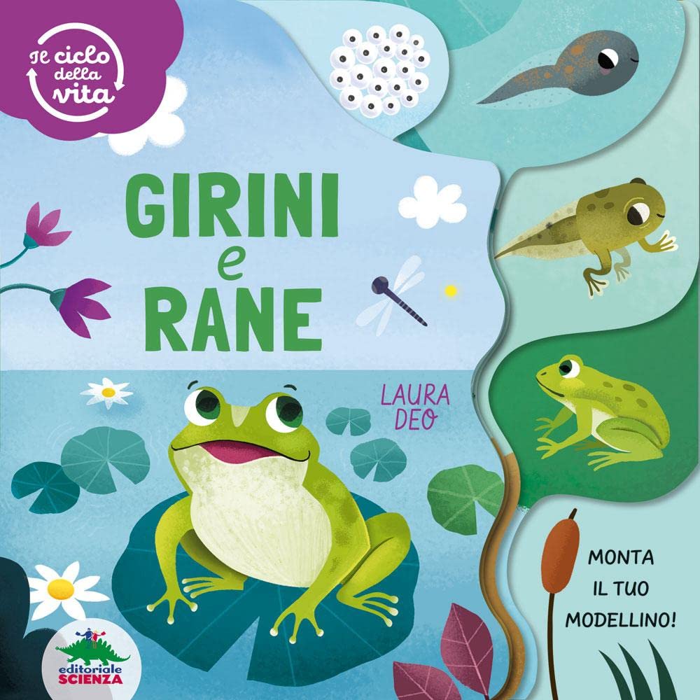 Girini e rane. Il ciclo della vita. Ediz. a colori book