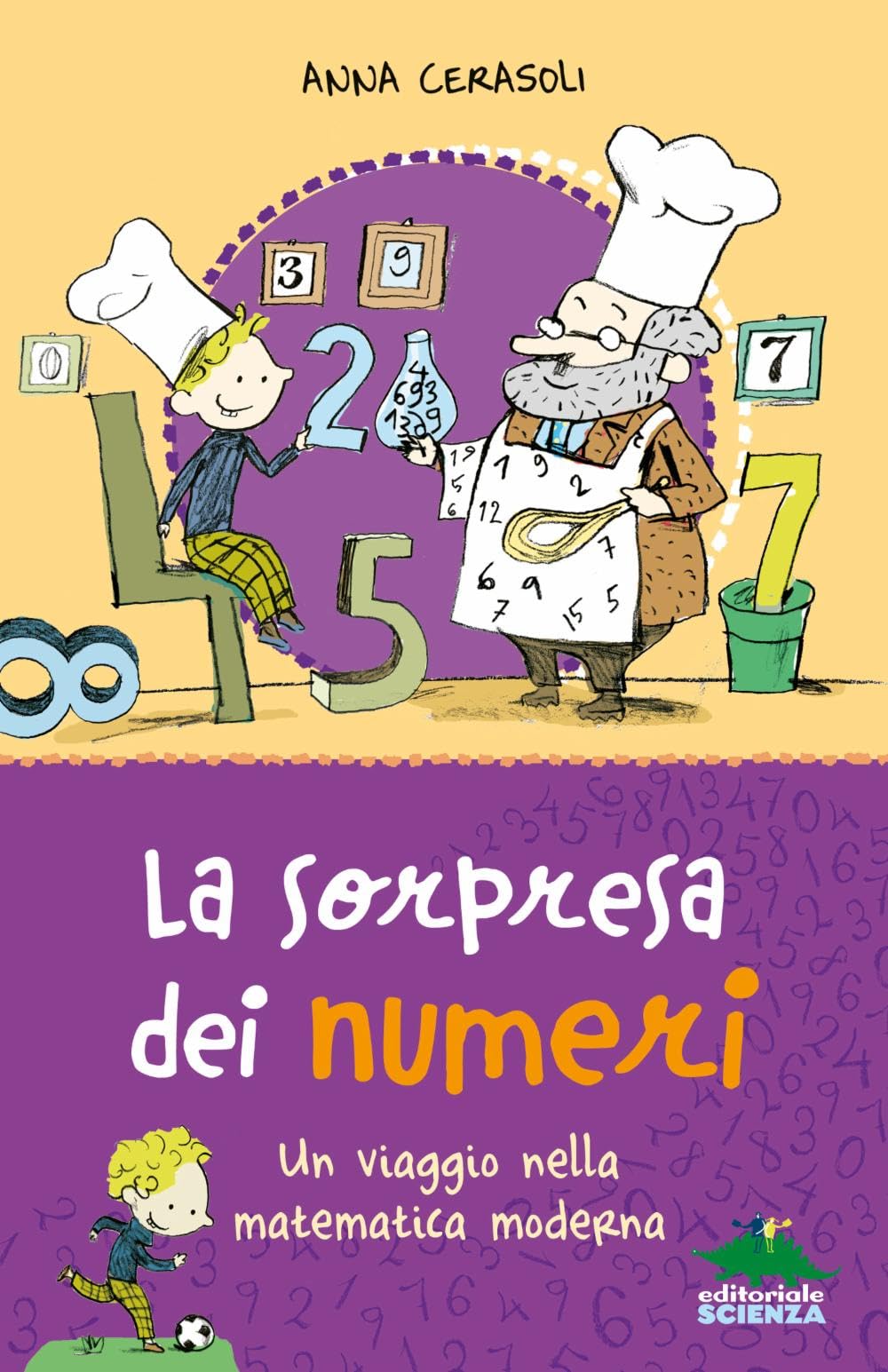 La sorpresa dei numeri. Un viaggio nella matematica simpatica book
